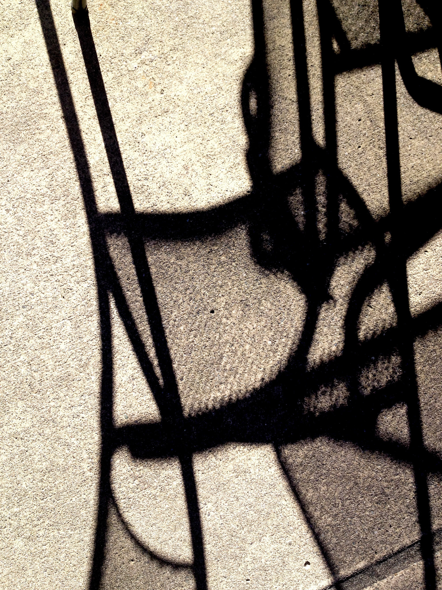 Patio Lines