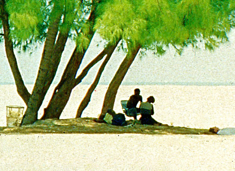 shade beneath palms and tamirind trees on beach at South Miami Beach