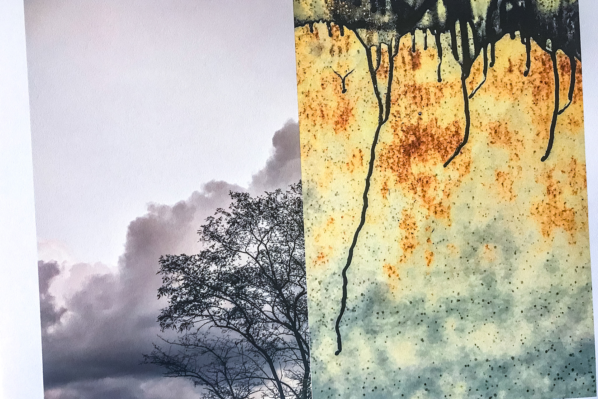 Connect Roots