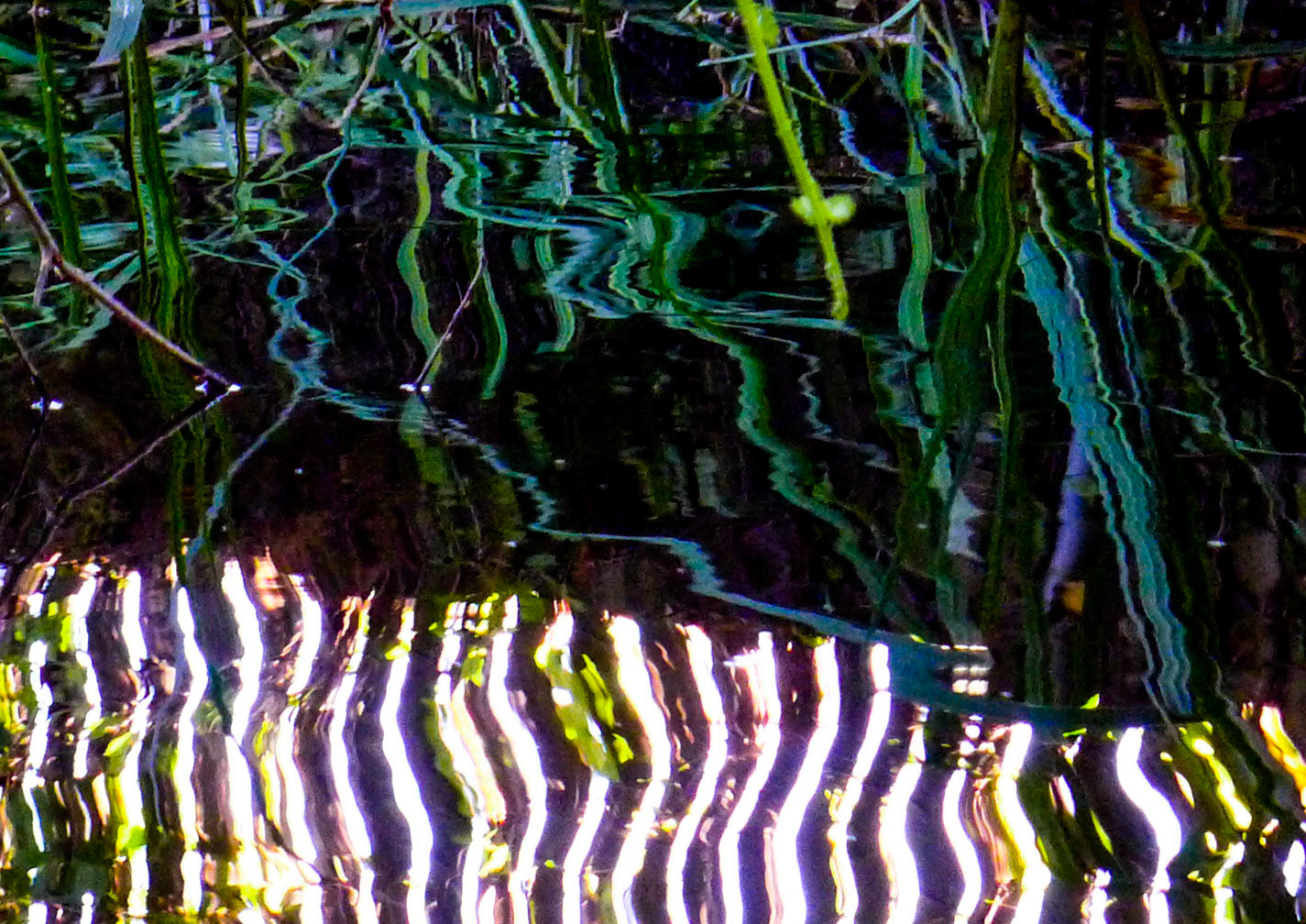 Water scaping
