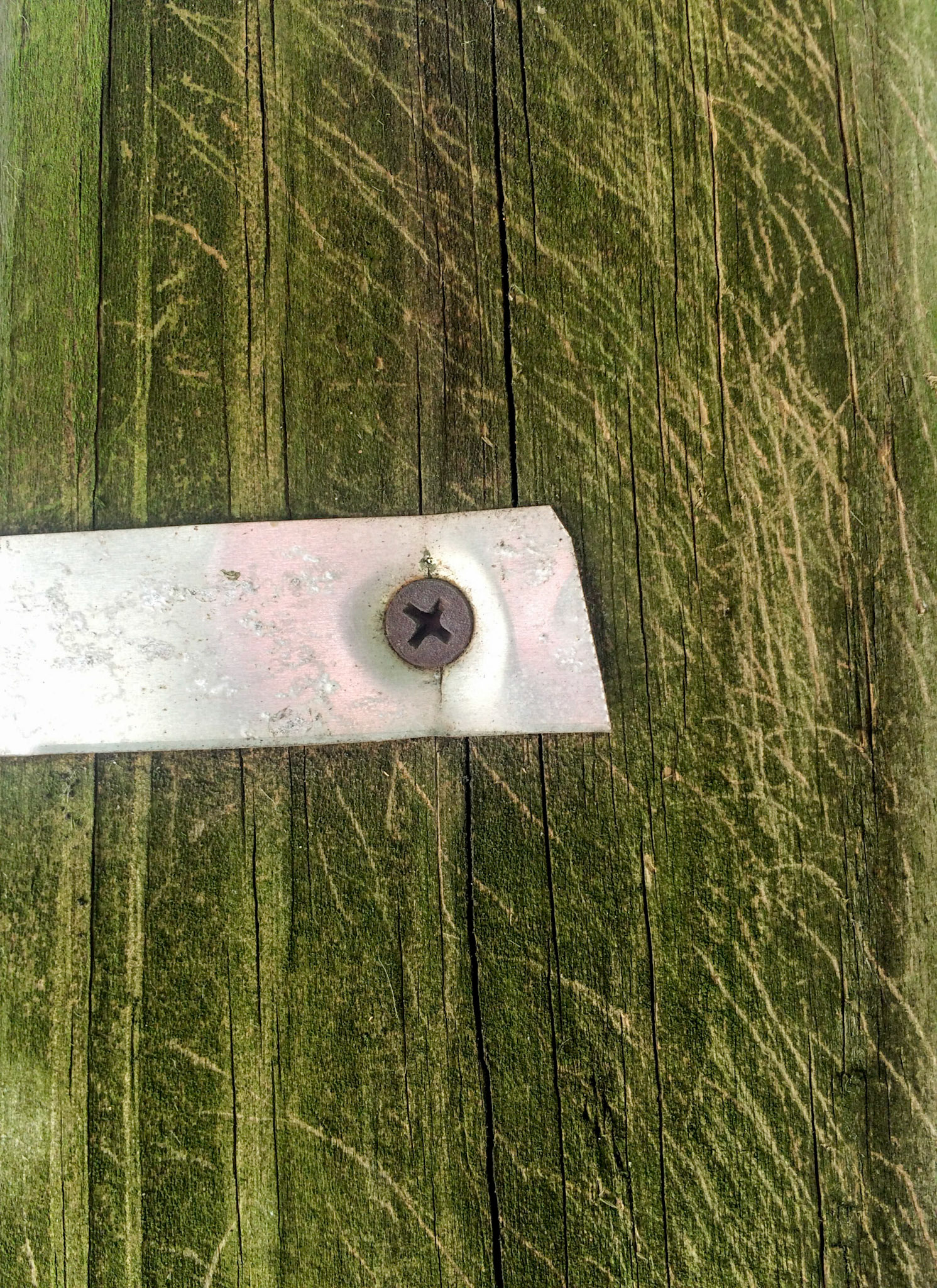 Green scratches