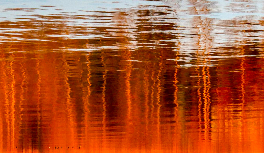 Archival Pigment Print 17 x 22 Edition 9