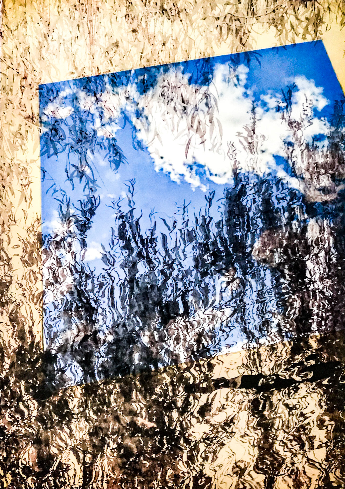 Veiled Sky