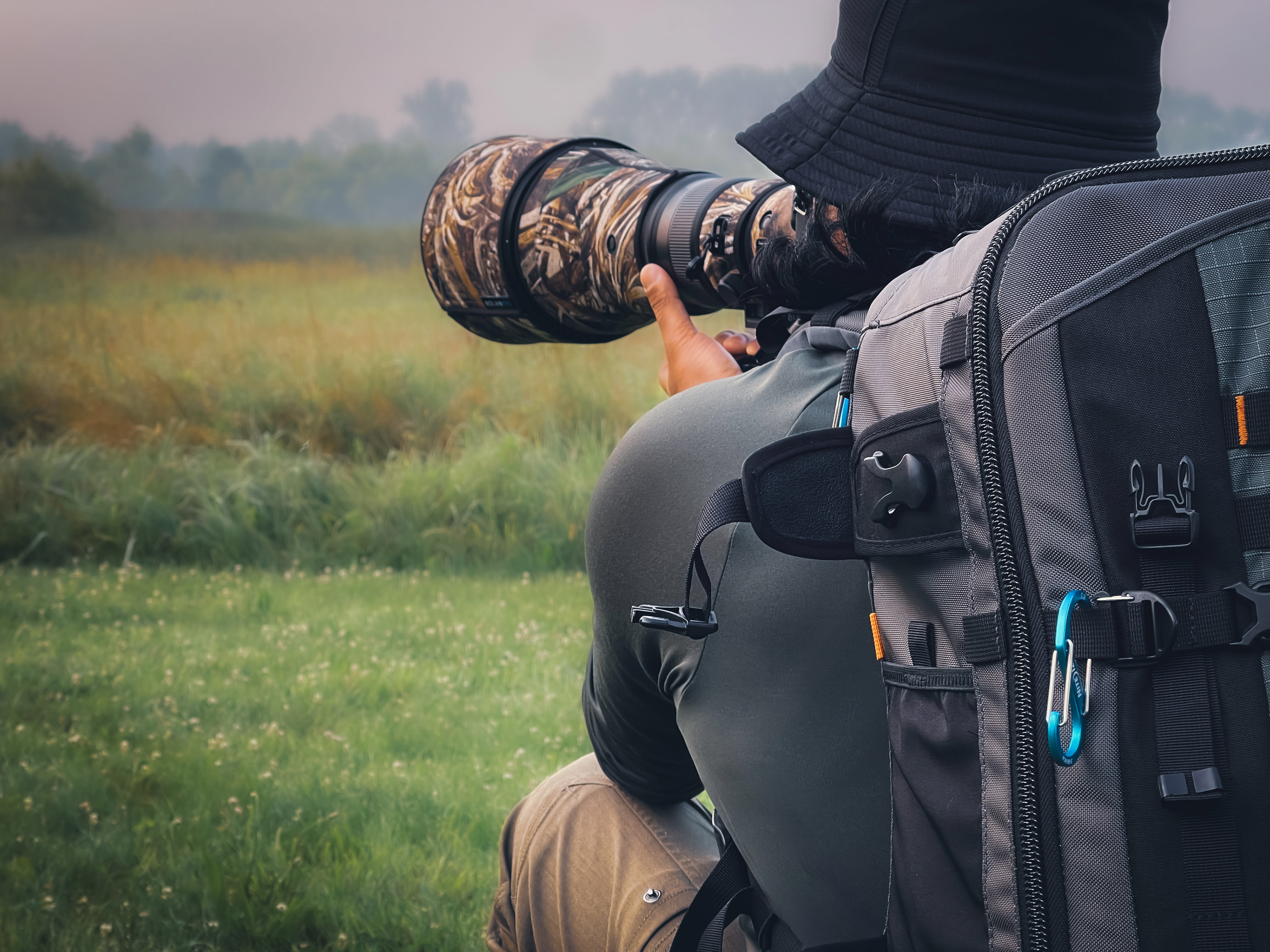 nikon, wildlife, irds, wildlife photographer, ohio