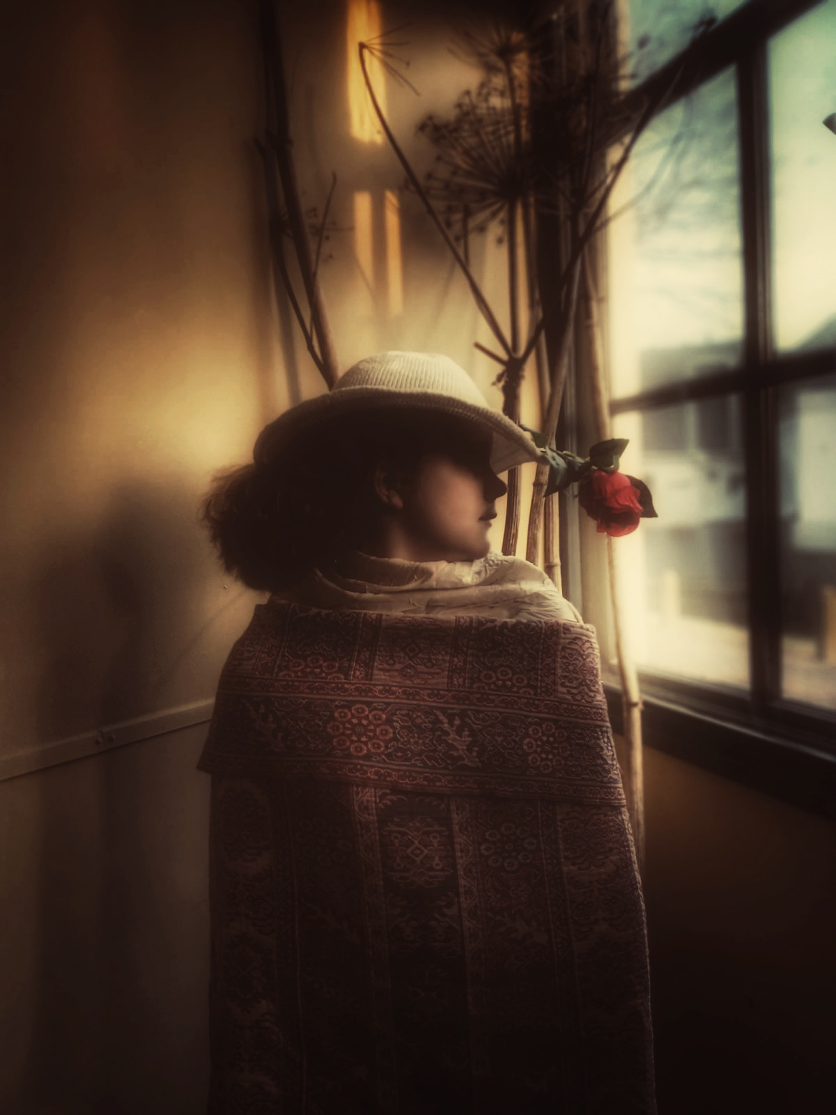 Project Rembrandt De 'meiden' van Franeker