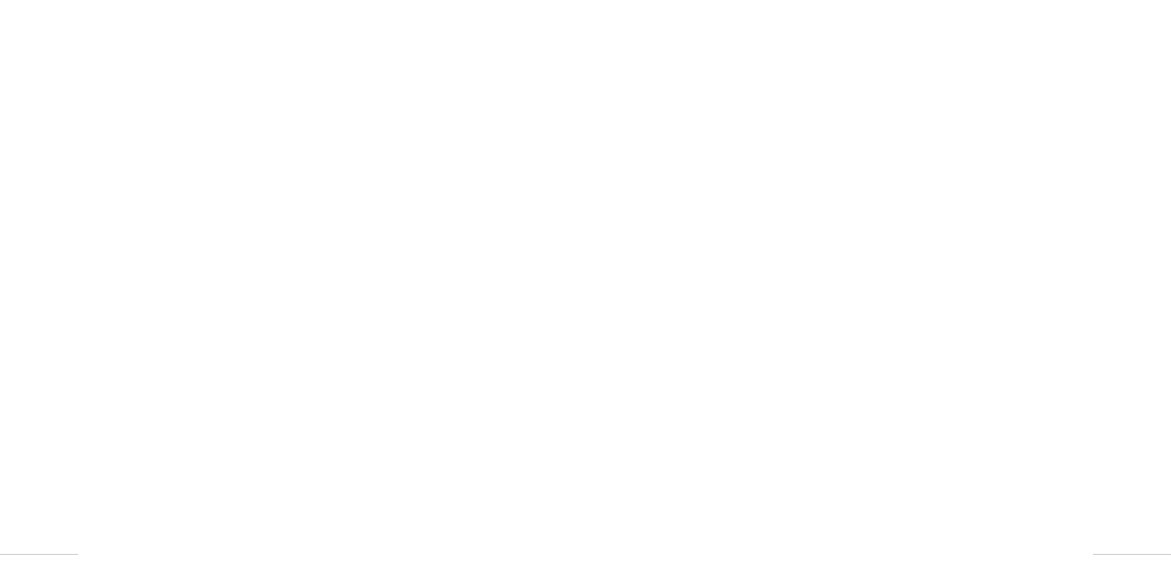 ibrahim Bahgat