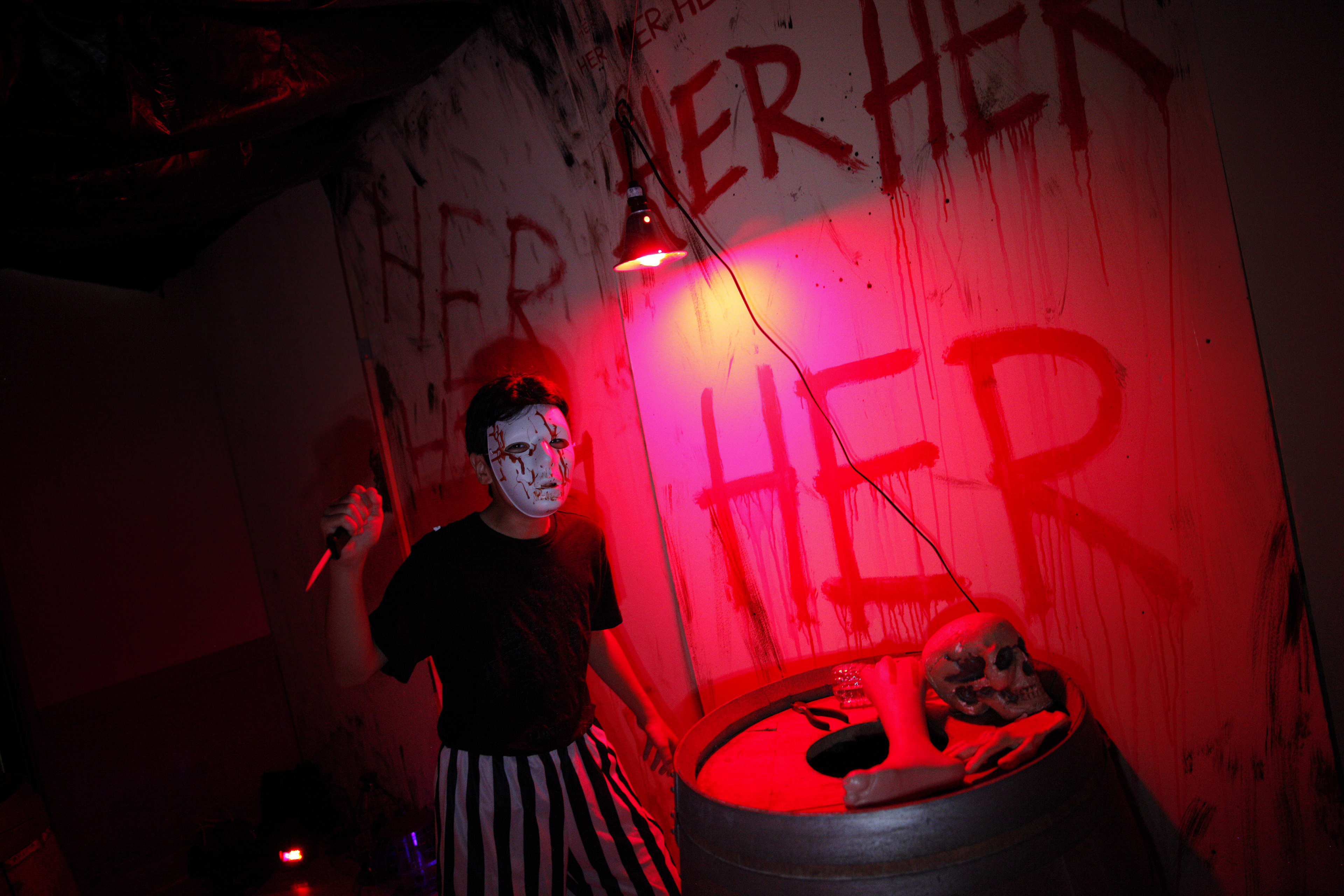 The Dollhouse of Death (2015)