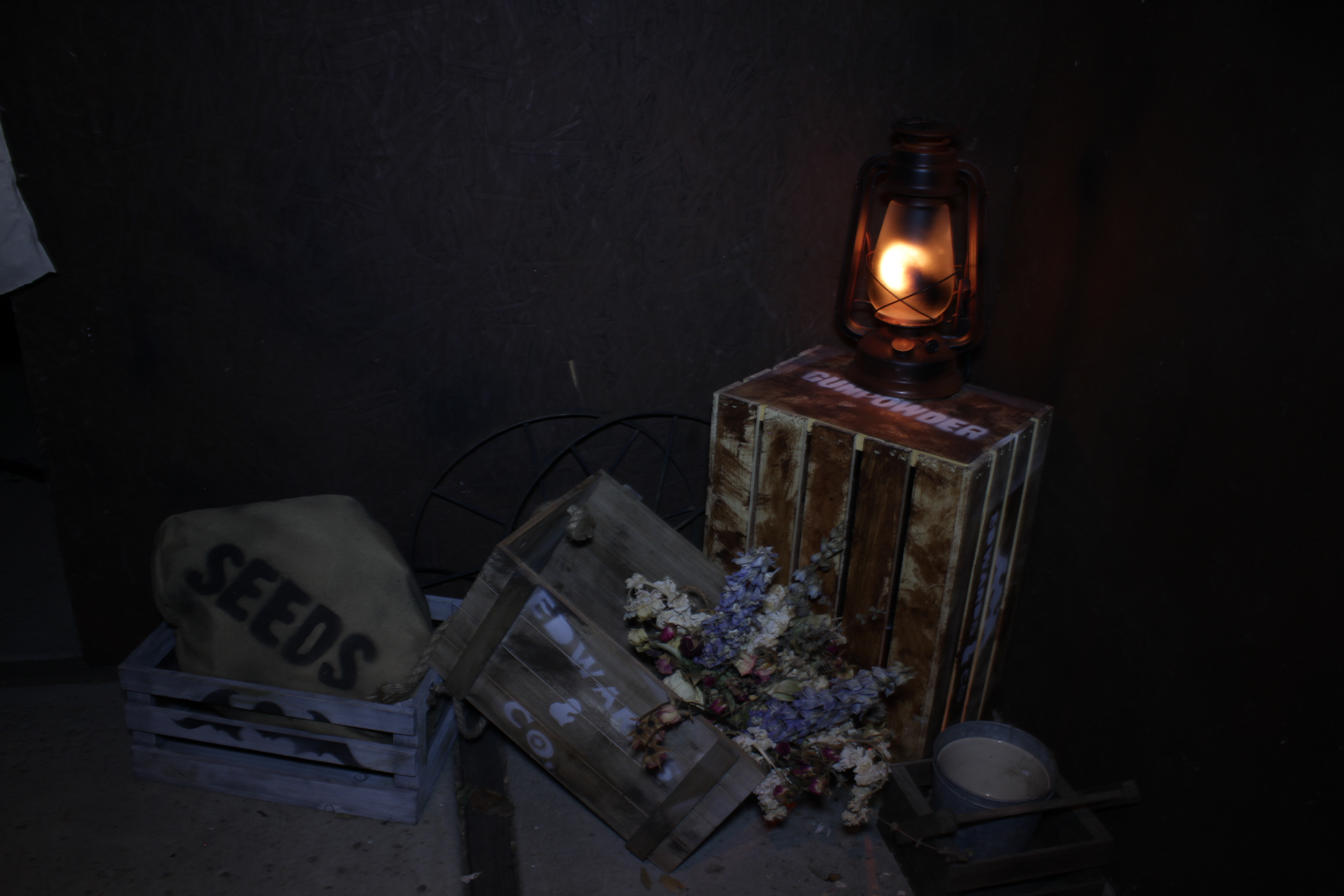 Apparition Adventure: TERROR TWINS (2017)