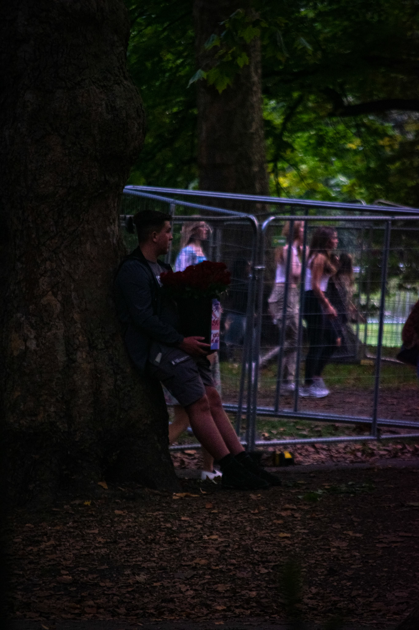 A lad selling roses at Green Park, London.