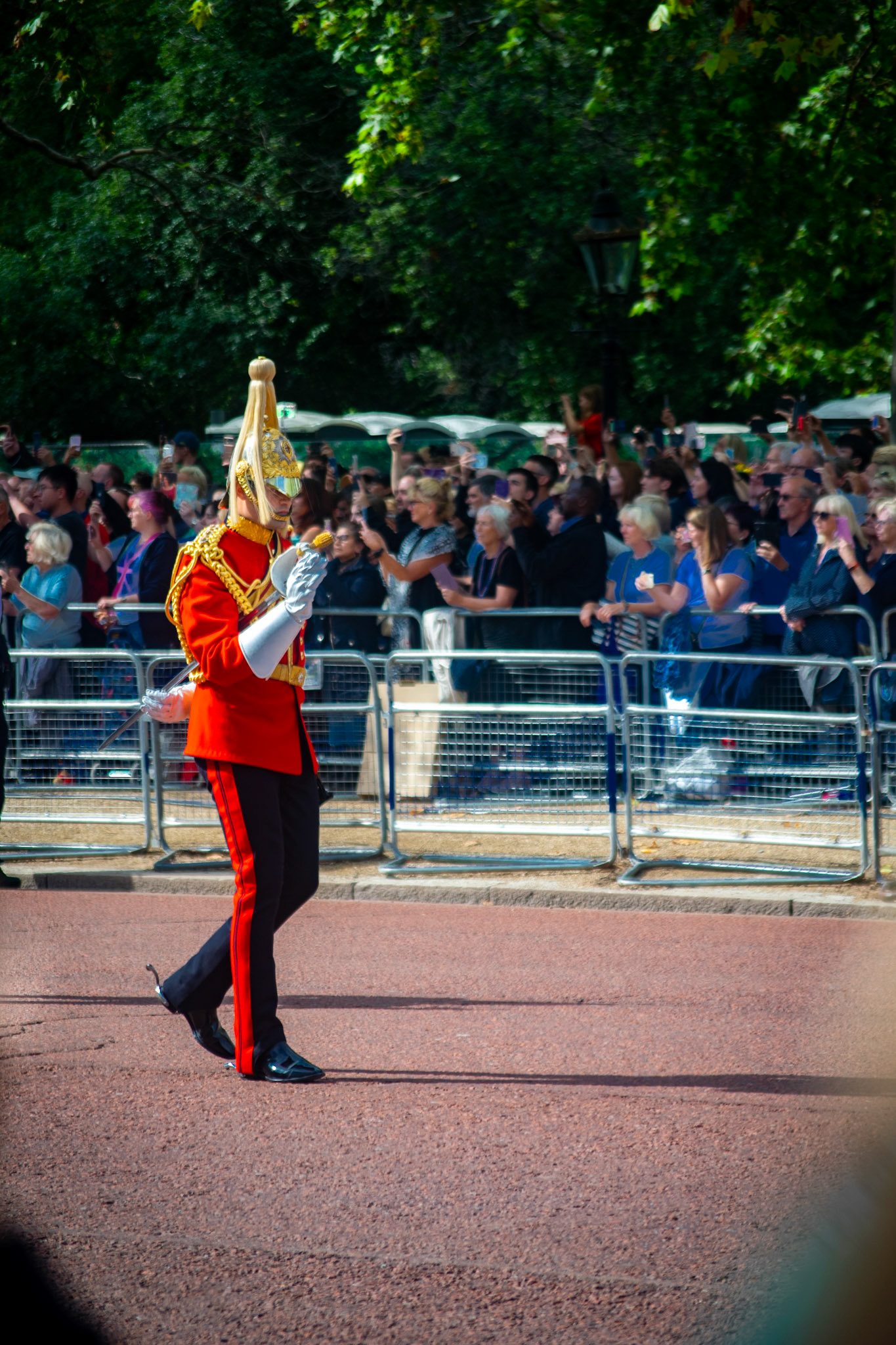 The procession was followed by the Life Guards.