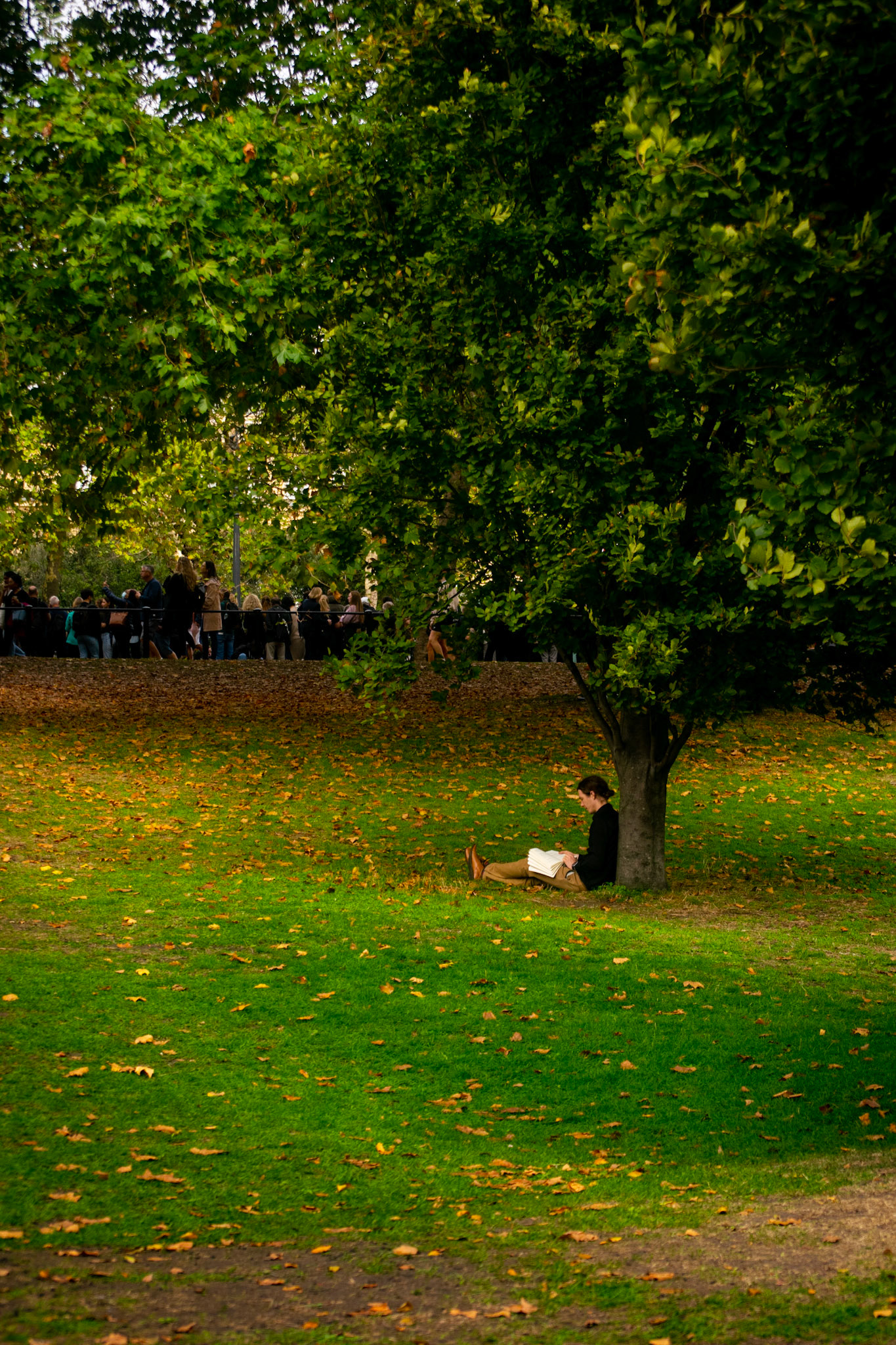 A person sits under a tree reading a book, detached from the crowd. The queen served her people till her last breath, with death coming to her as her retirement. This picture signifies the 'calmness of the person ' as her retirement while the 'commotion of the crowd' is her busy life.