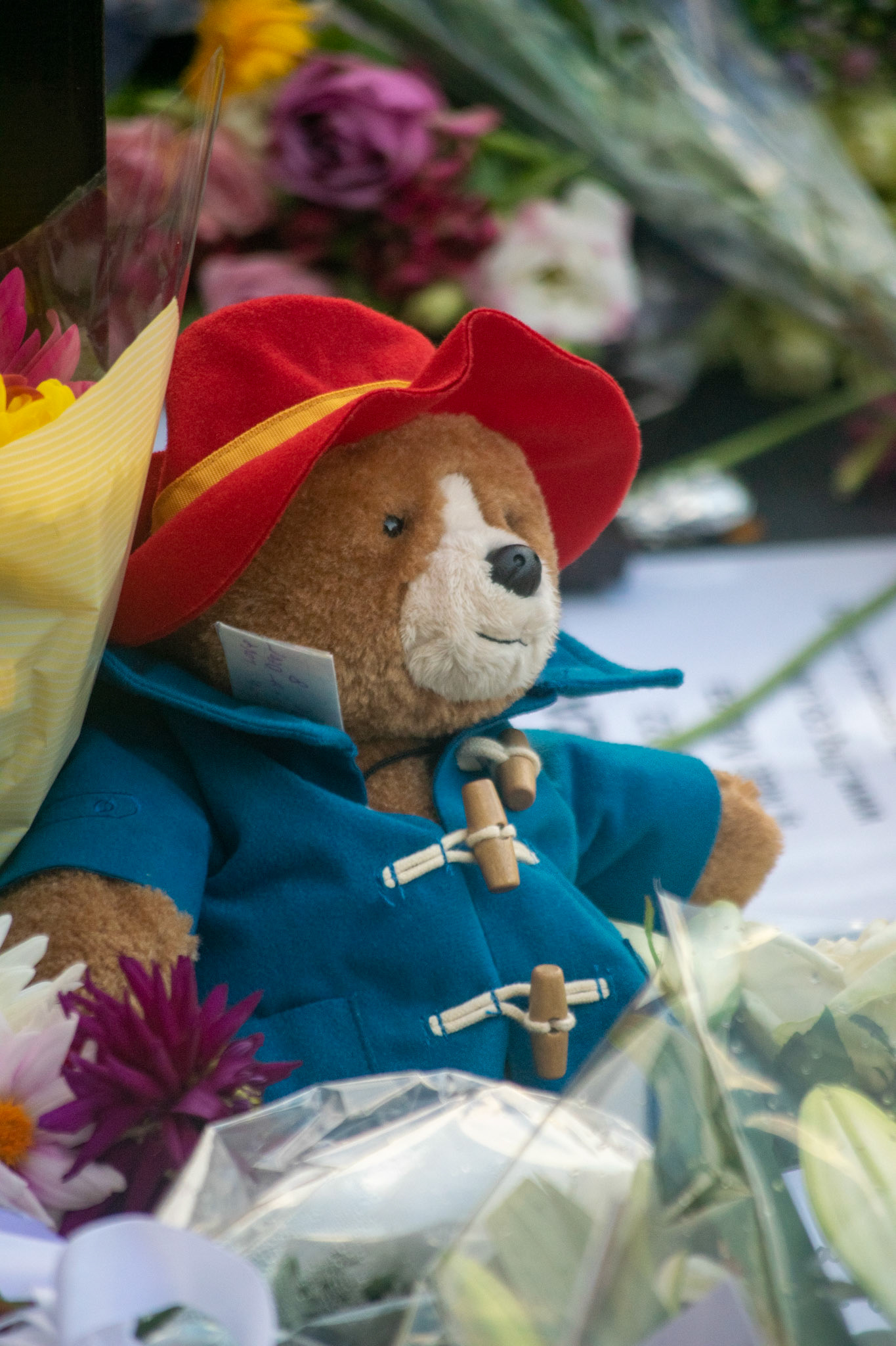 A Paddington bear kept in memory of the queen among the flower bouquets. It vividly reminds of the comedy sketch done by the queen with the Paddington bear for her Platinum Jubliee.