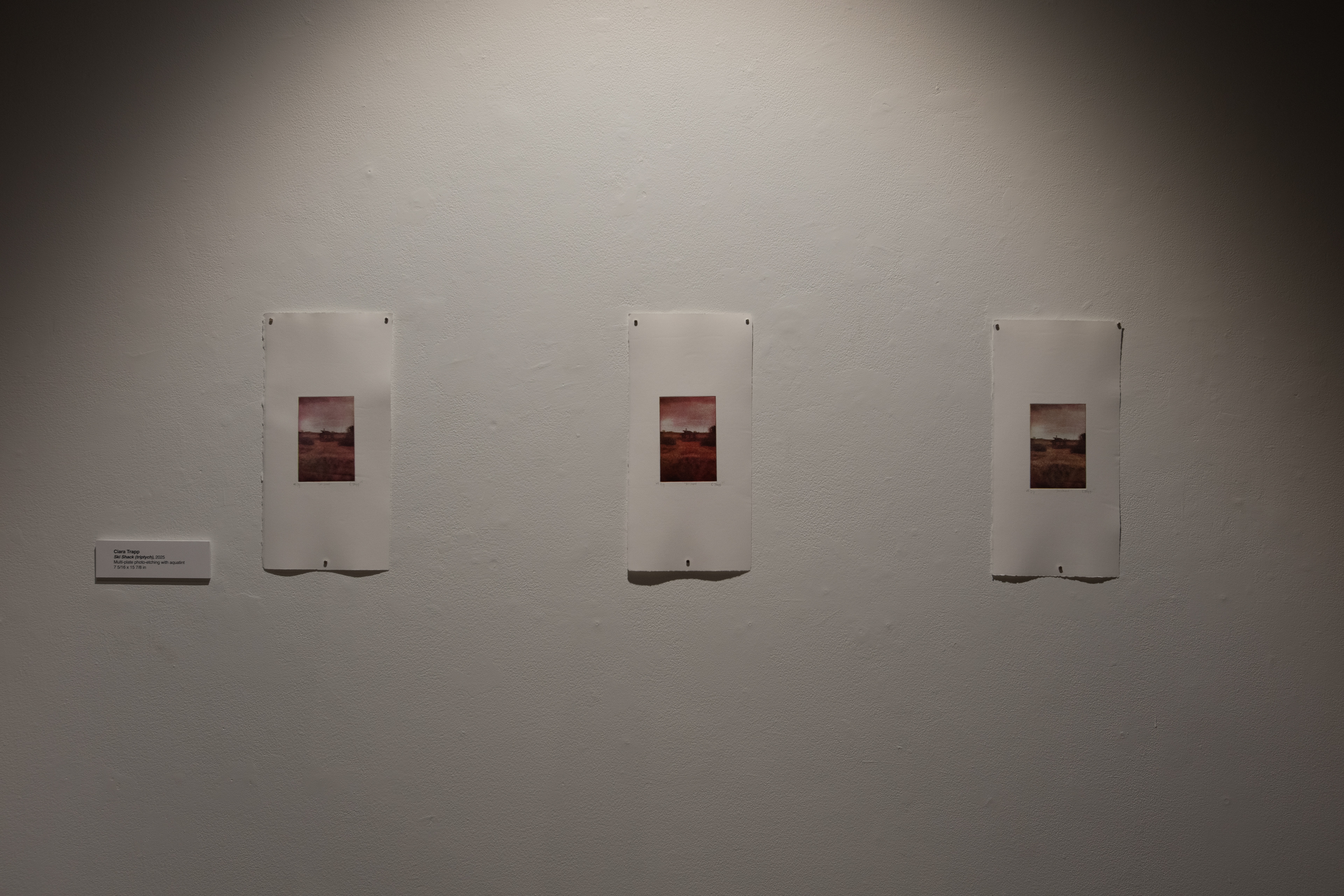 From "Bite & Burnish", Fifth Parallel Gallery, 2026.