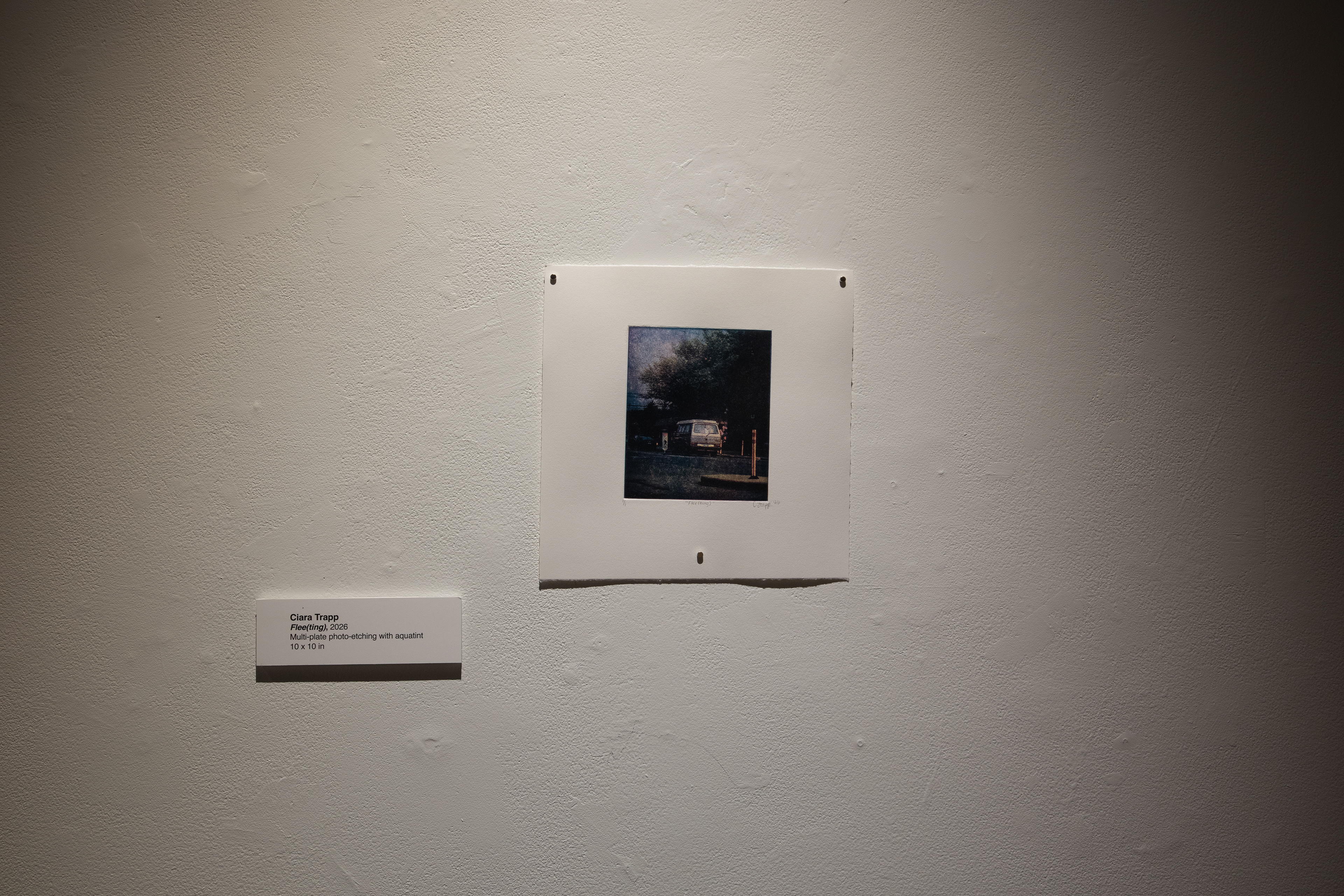 From "Bite & Burnish", Fifth Parallel Gallery, 2026.