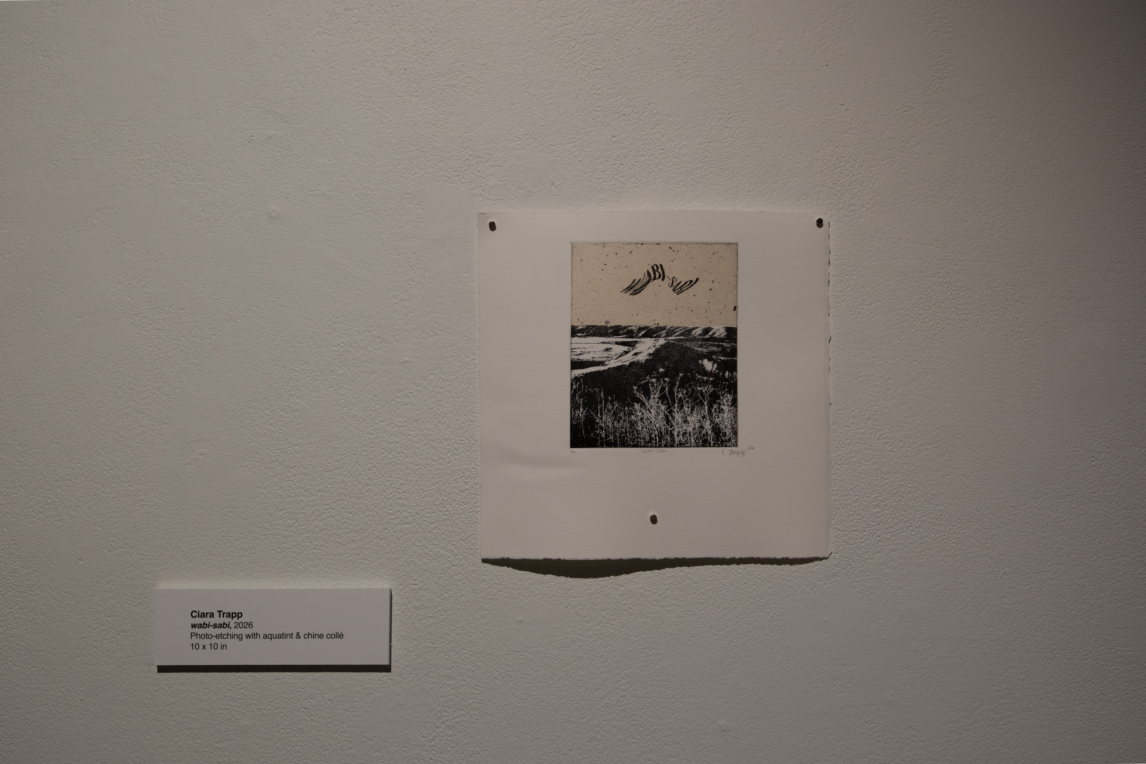 From "Bite & Burnish", Fifth Parallel Gallery, 2026.