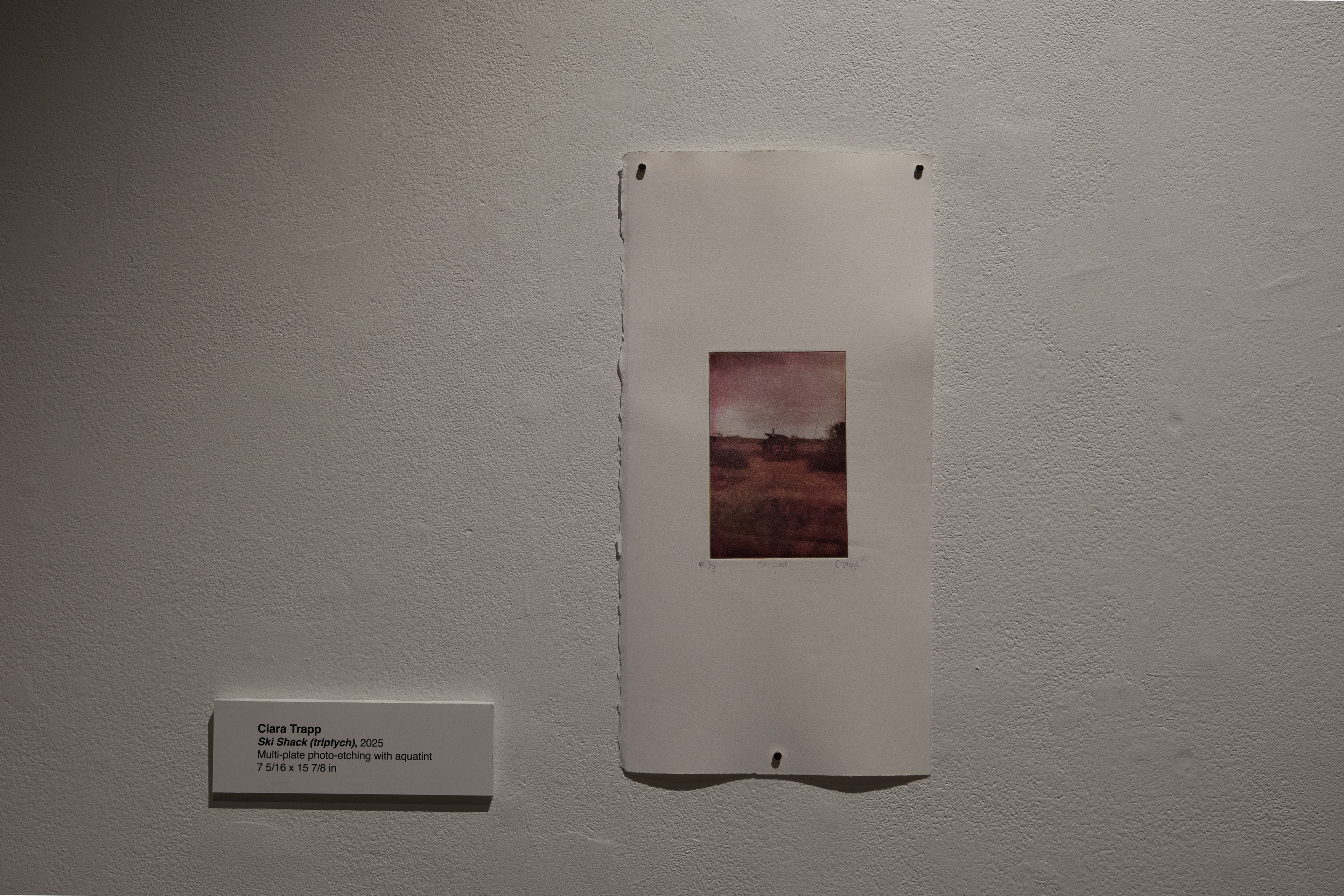 From "Bite & Burnish", Fifth Parallel Gallery, 2026.