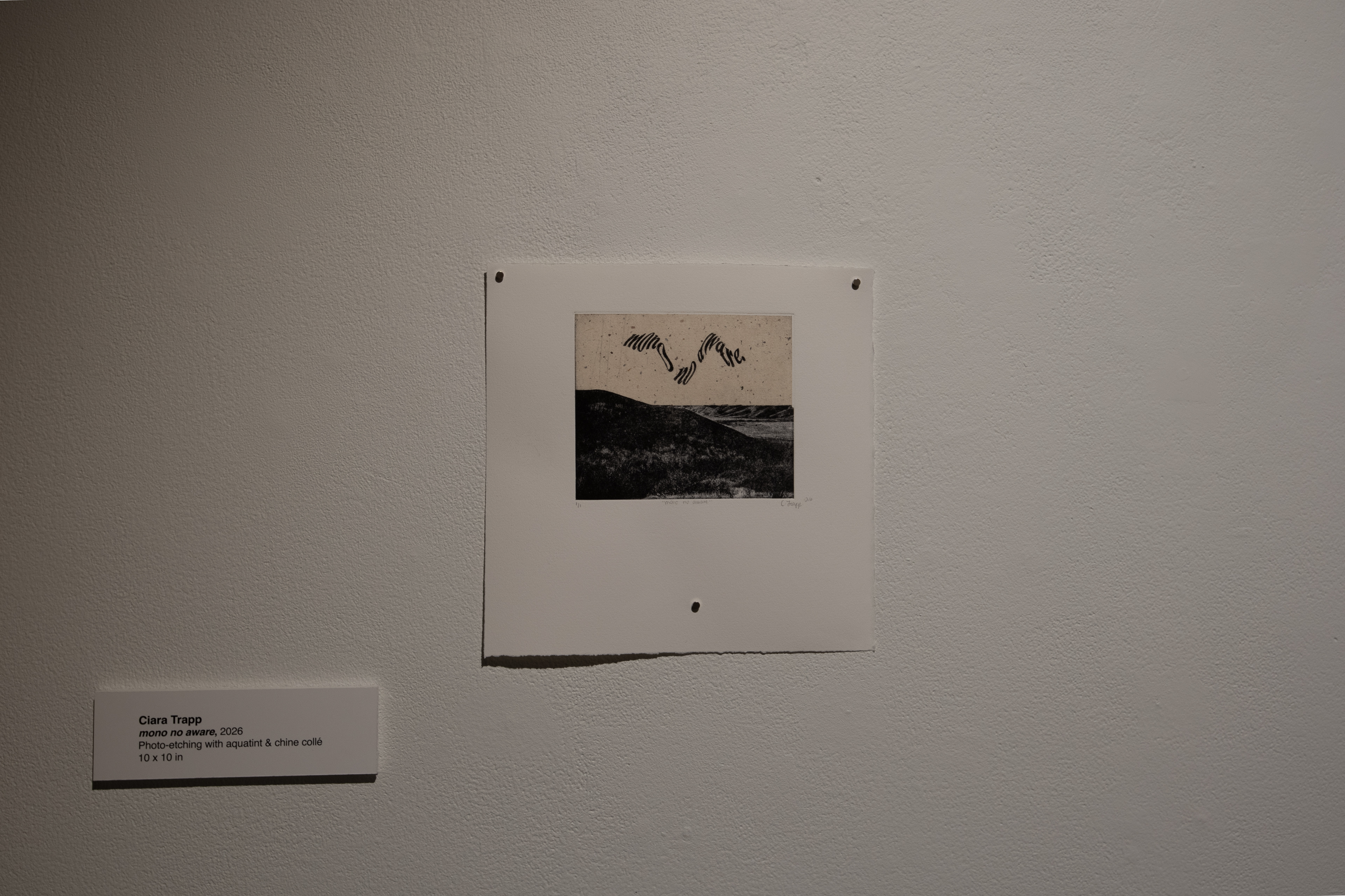 From "Bite & Burnish", Fifth Parallel Gallery, 2026.