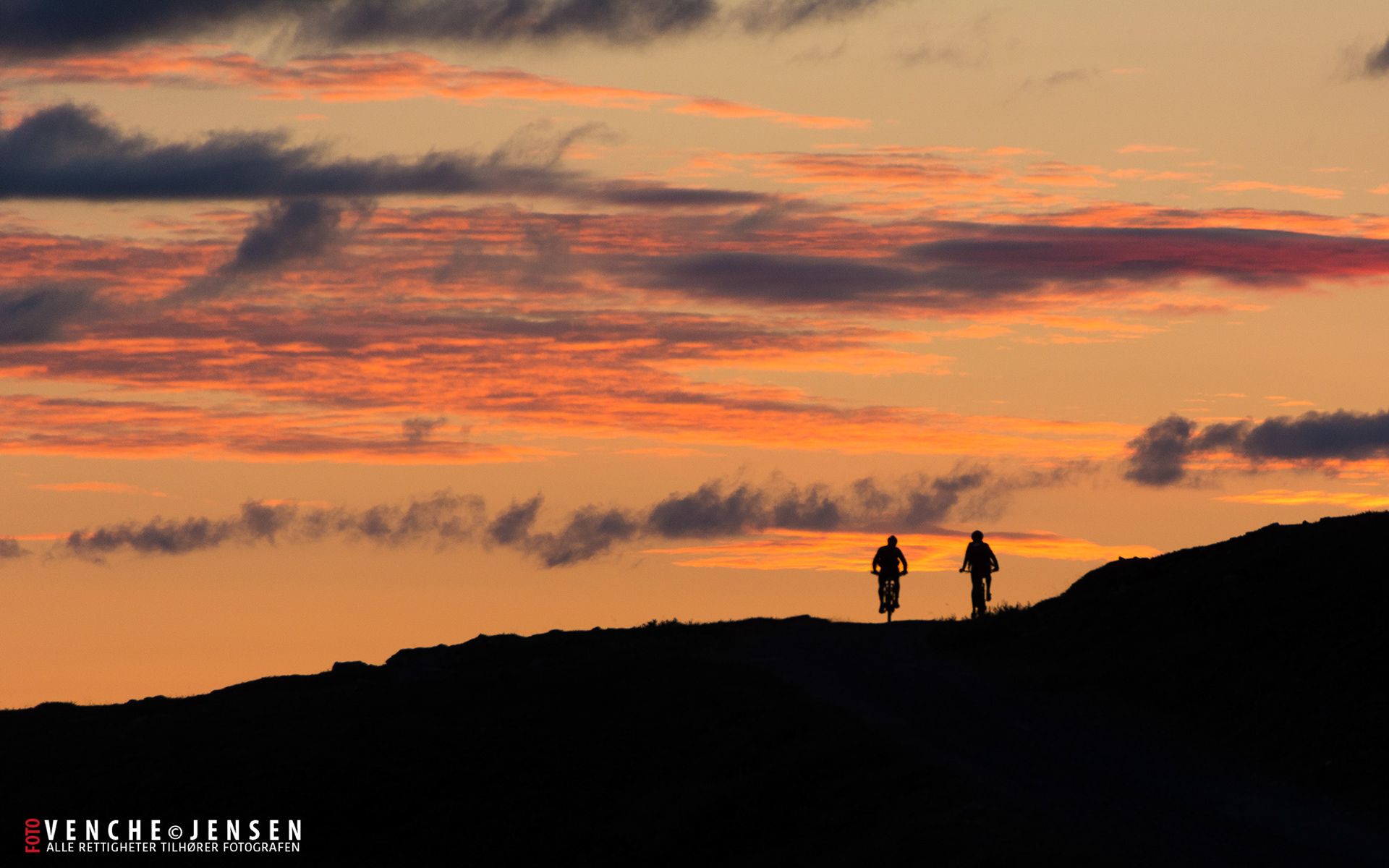 Syklister i morgenrød