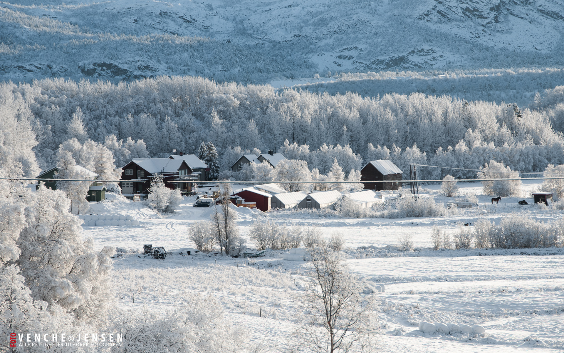 Frost i Alta