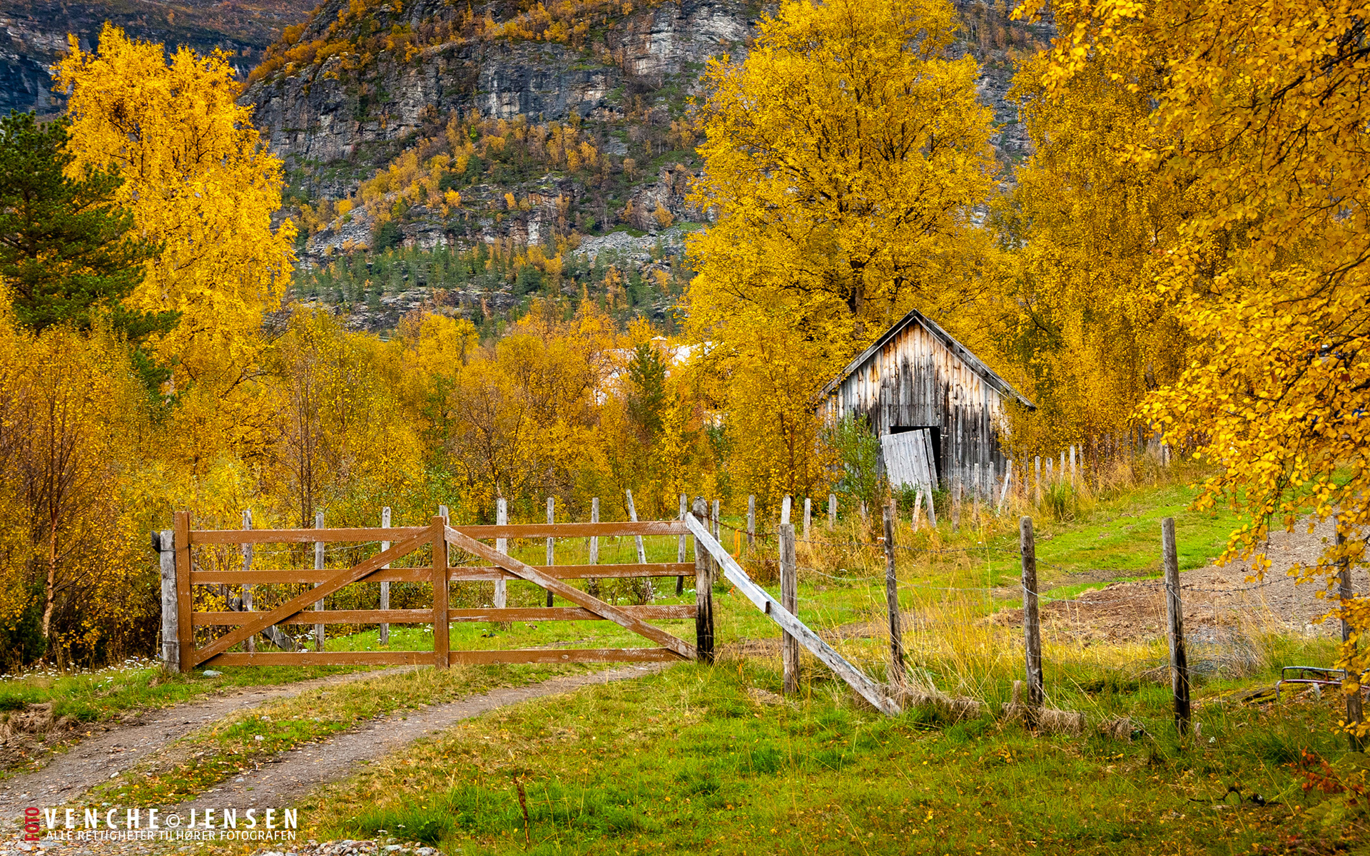 Parti fra Nerskogen - Alta