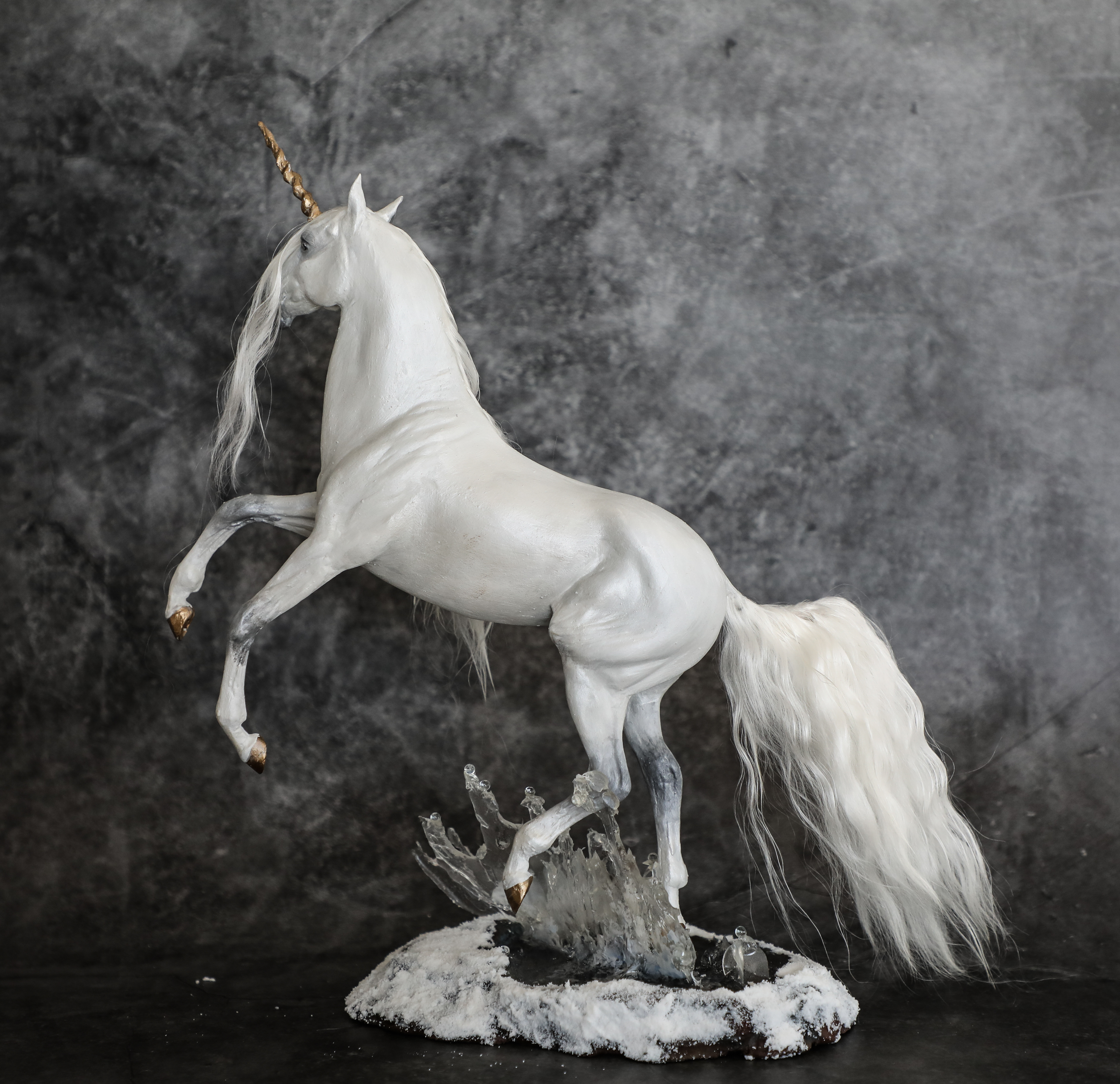 cadence #14 Everglade