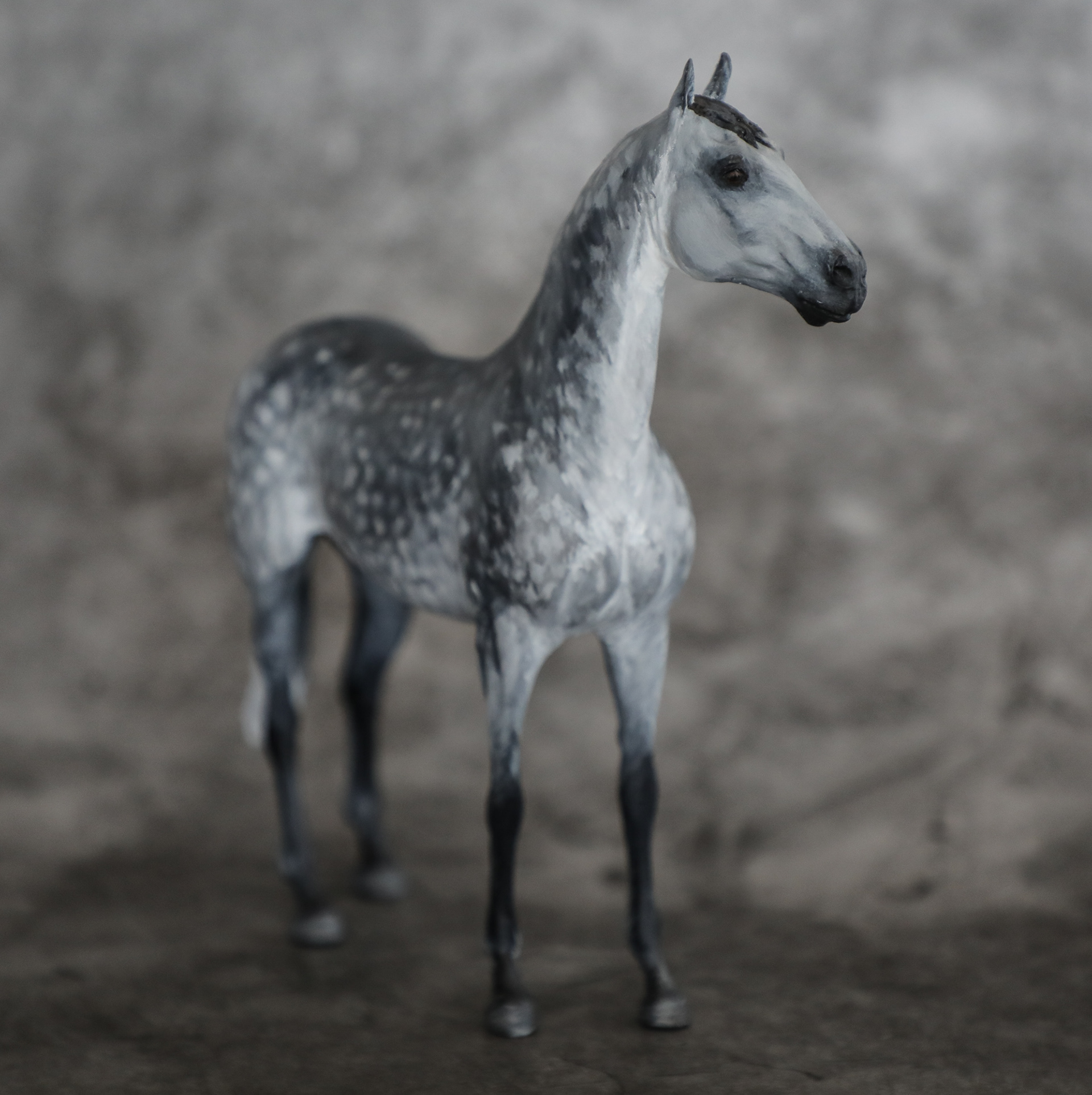 Witness #1 Carvaggio