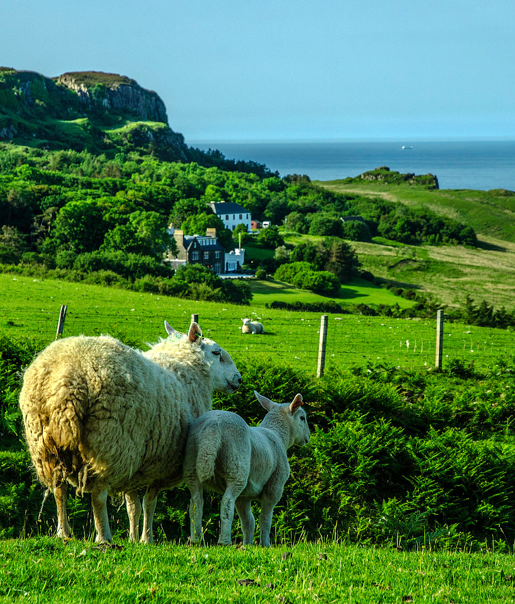 ILE DE SKYE