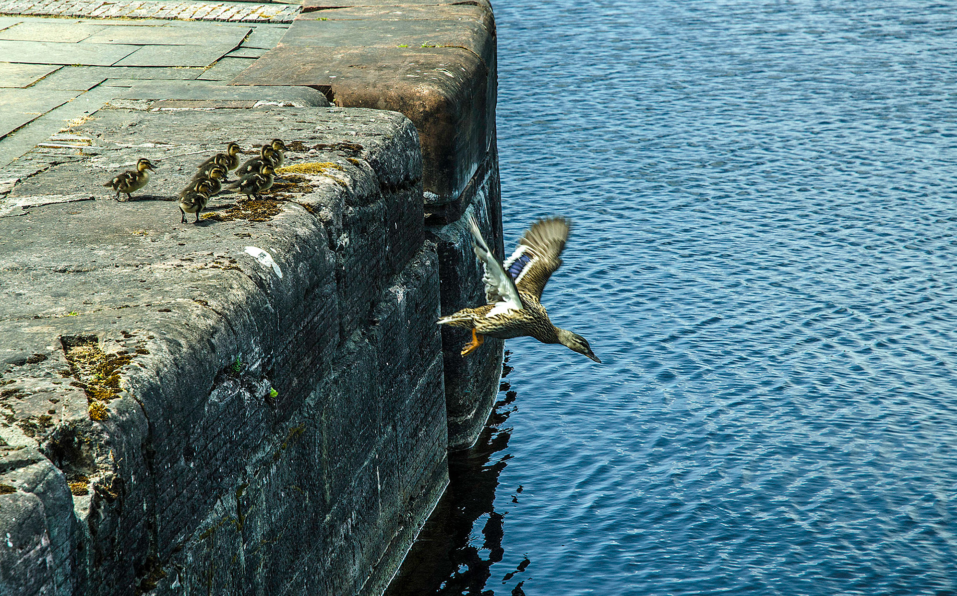 FORT AUGUSTUS