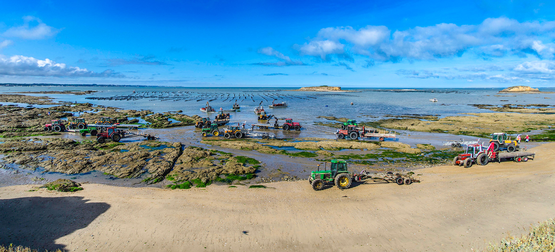 MAREE BASSE ET RECOLTE DES MOULES A PENESTIN