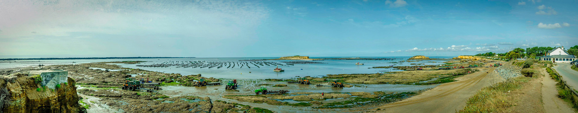 Départ pour la récolte de moules pointe du Bill à Pénestin en Loire Atlantique.