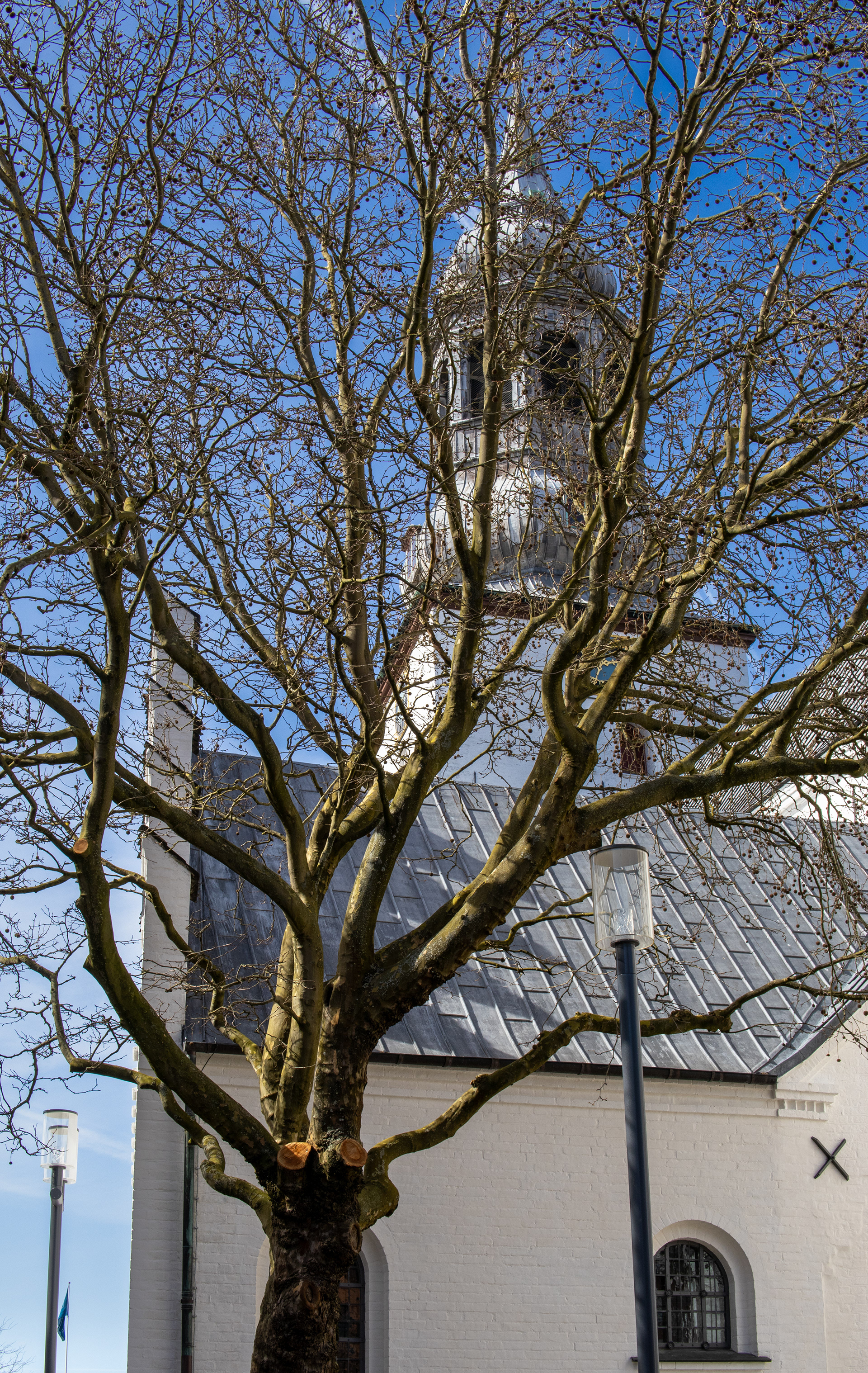 Bodulfi Kirke Aalborg