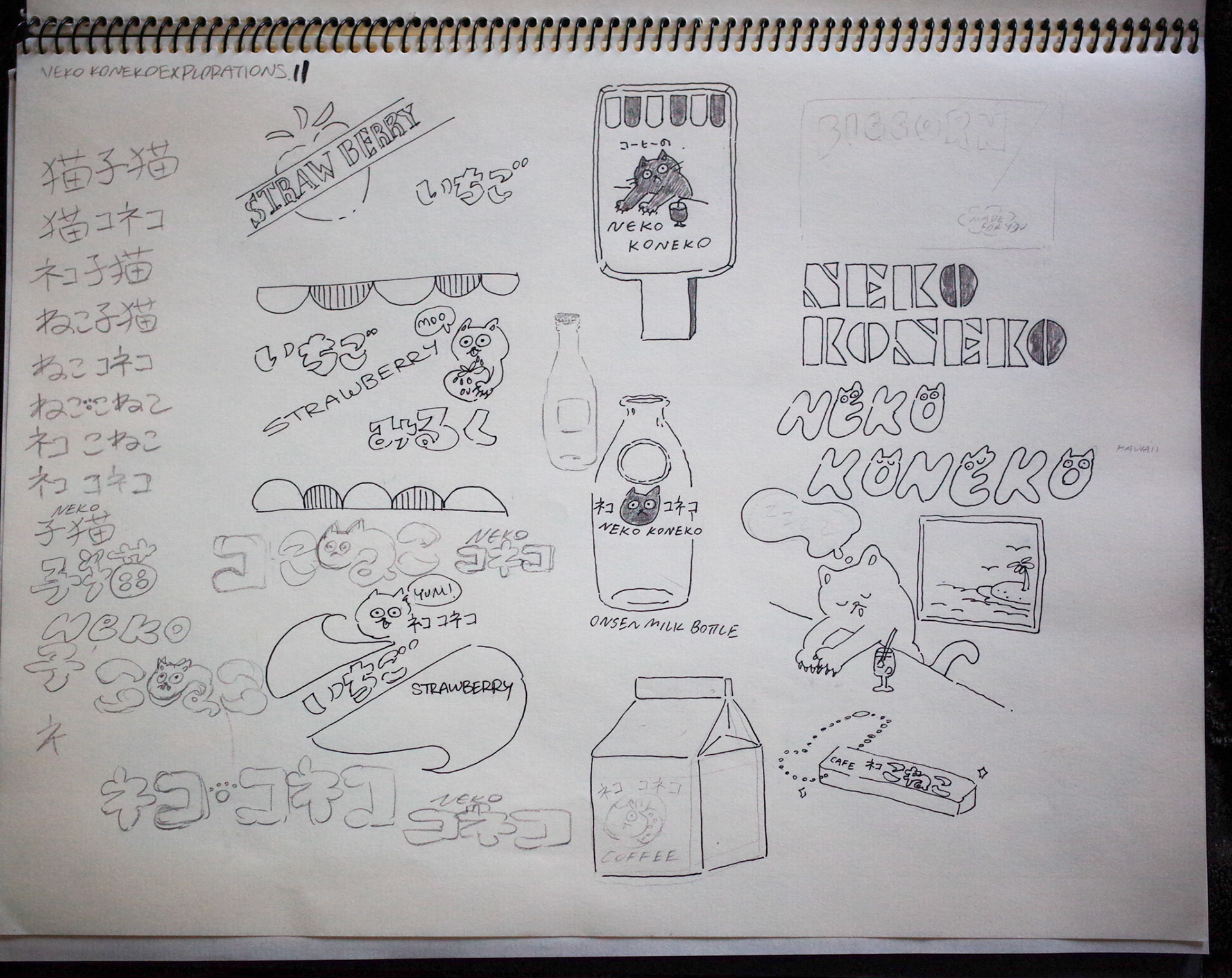Rough idea sketches