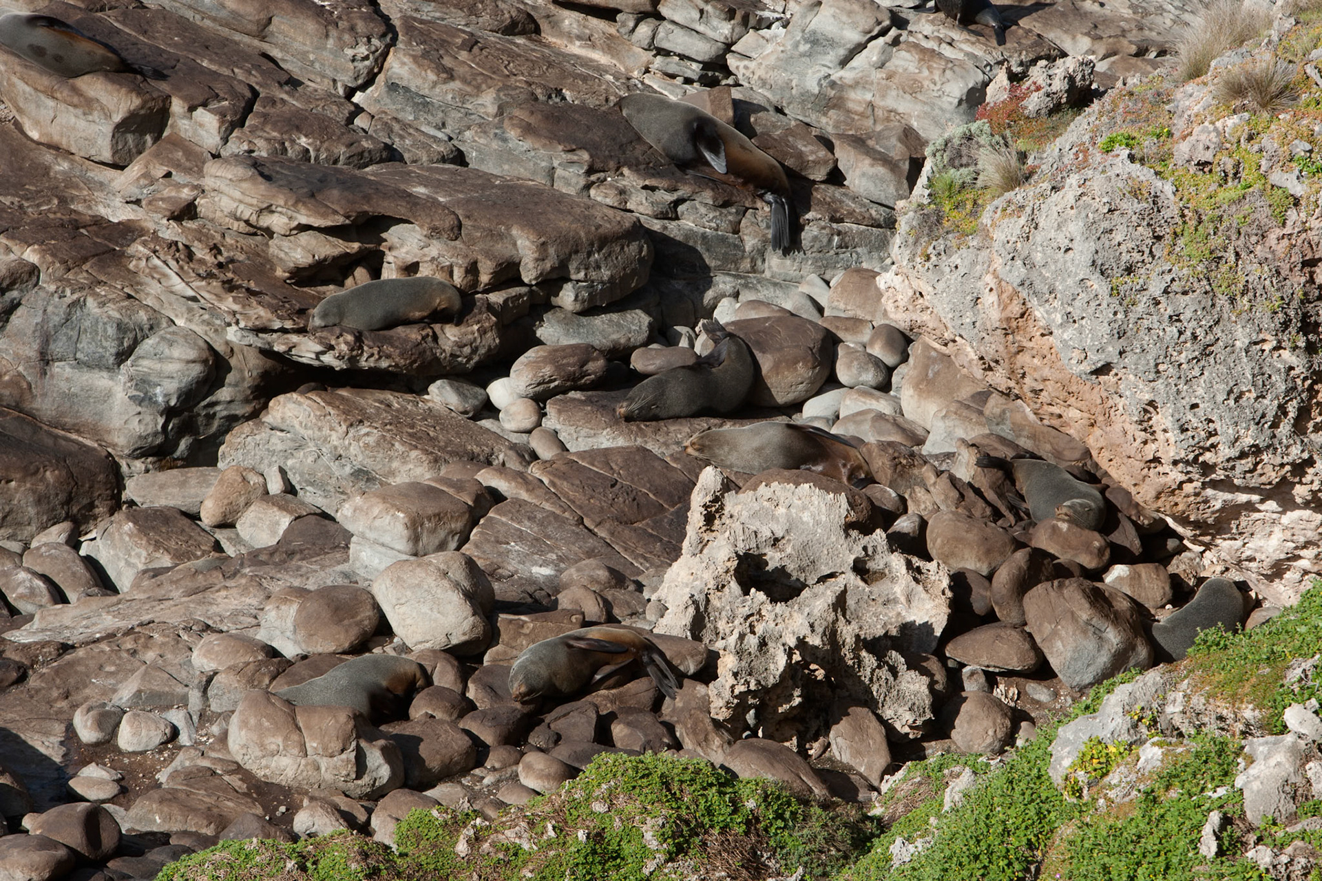 Cape de Coudiac in Flinders Chase National Park, Kangaroo Island, South Australia