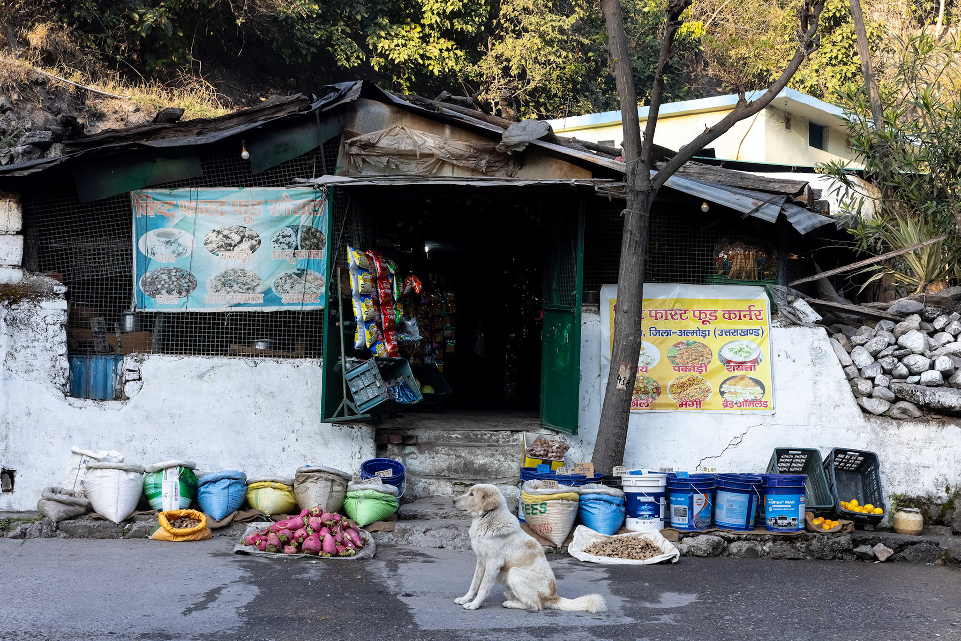 Corbett Tiger Reserve, India