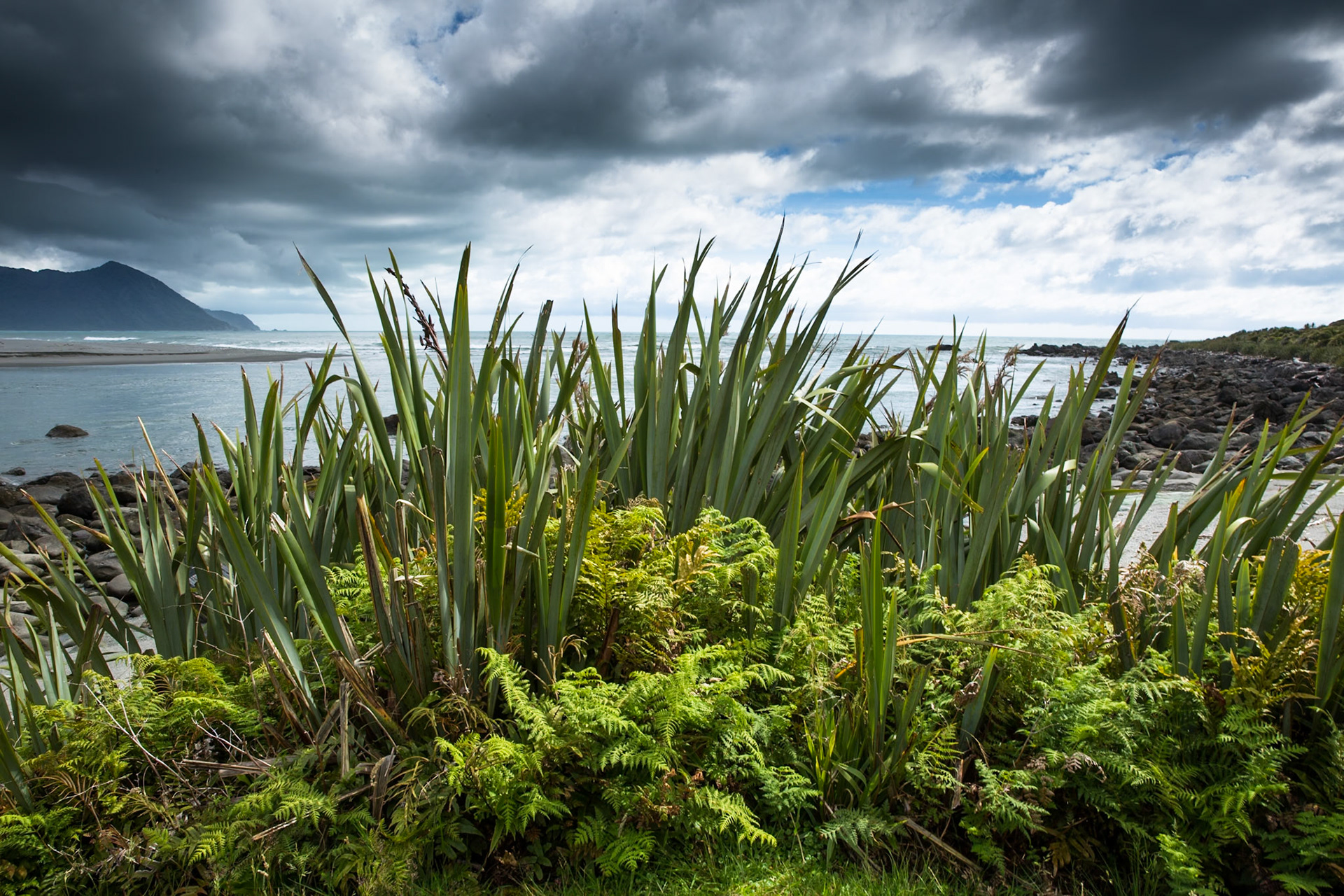 Longreef, Hollyford Track, Pyke Lodge to Martin's Bay, New Zealand