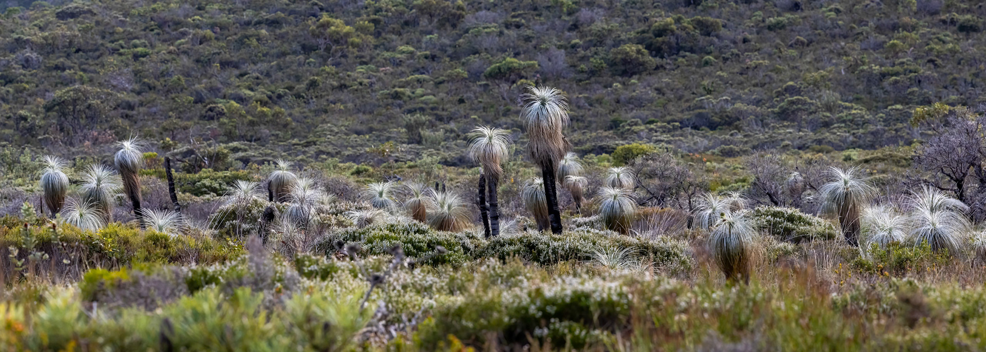 Cheynes Beach, West Australia