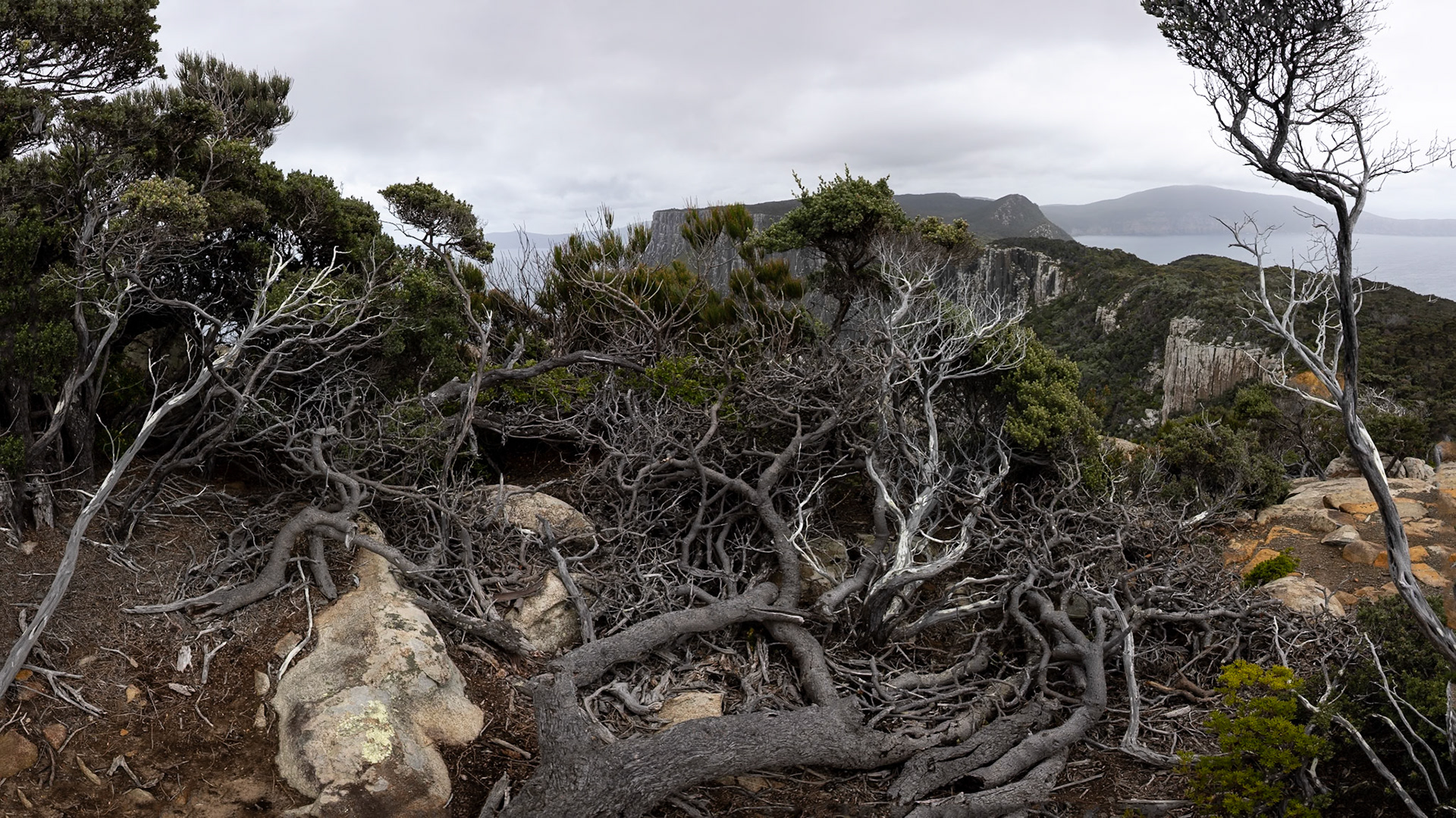 Three Capes Track, Cape Pillar Lodge to Cape Pillar and return, Tasmania