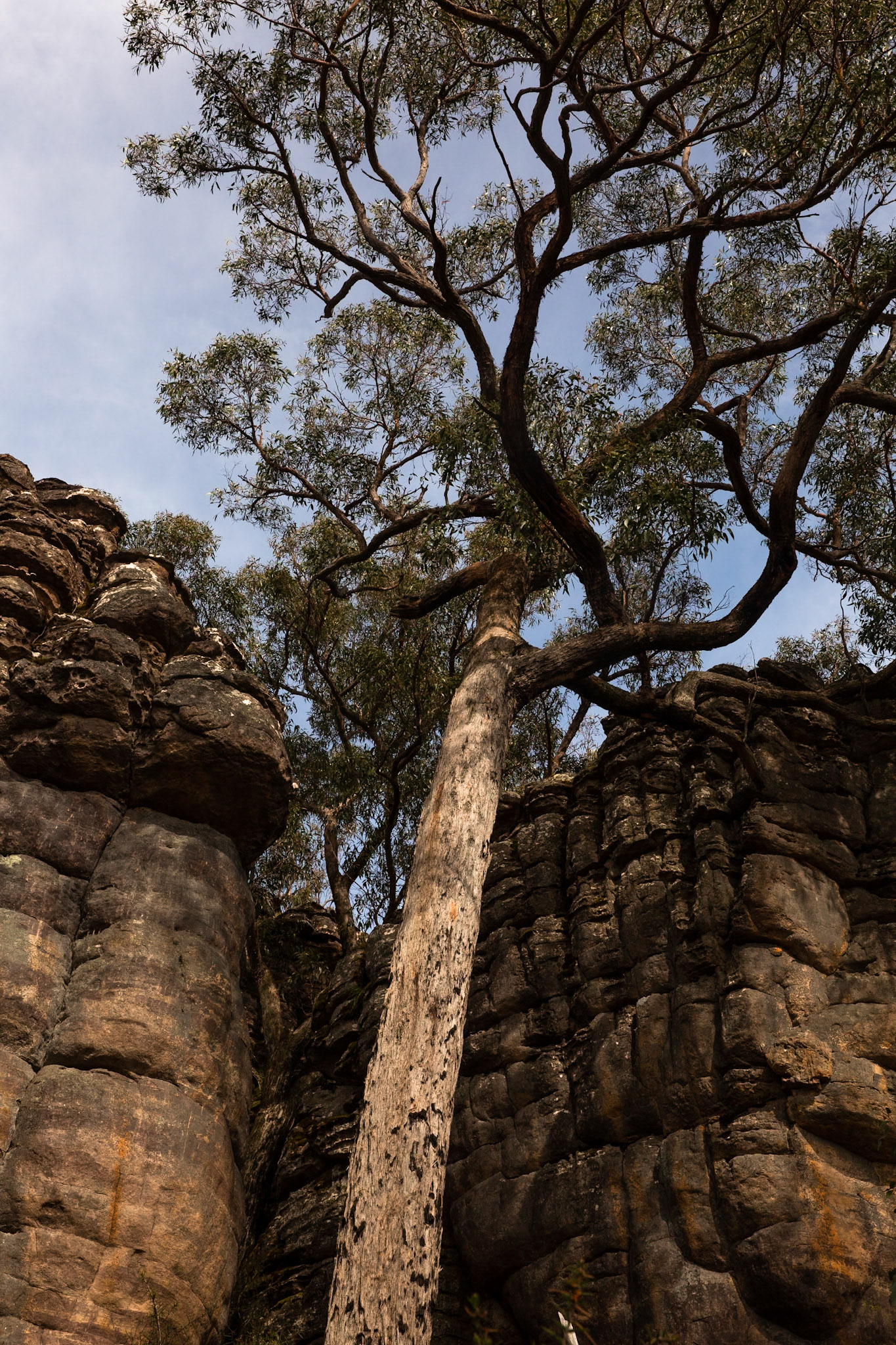 The Pinnacle circuit, Hall's Gap, The Grampians, Victoria