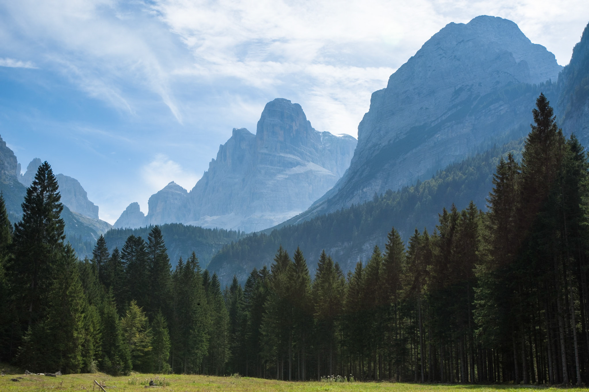Forest and Dolomite peaks, Madonna di Campiglio, Italy.