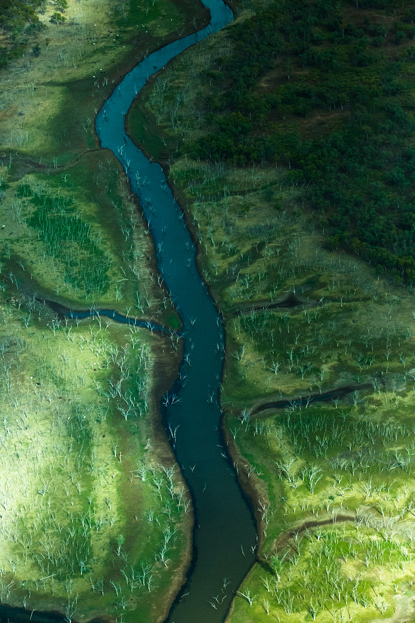 Aerial view, El Questro to the Bungle Bungles, West Australia