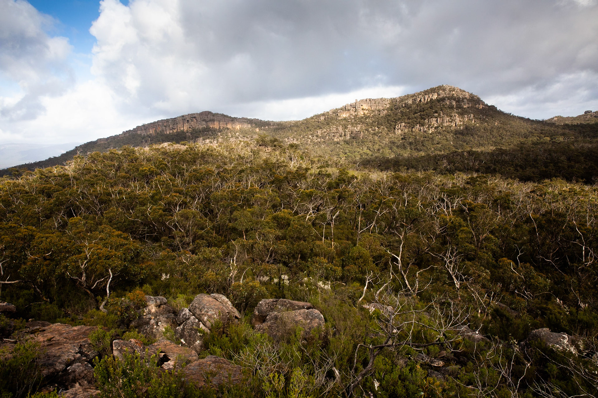 Mt Rosea circuit, Hall's Gap, The Grampians, Victoria