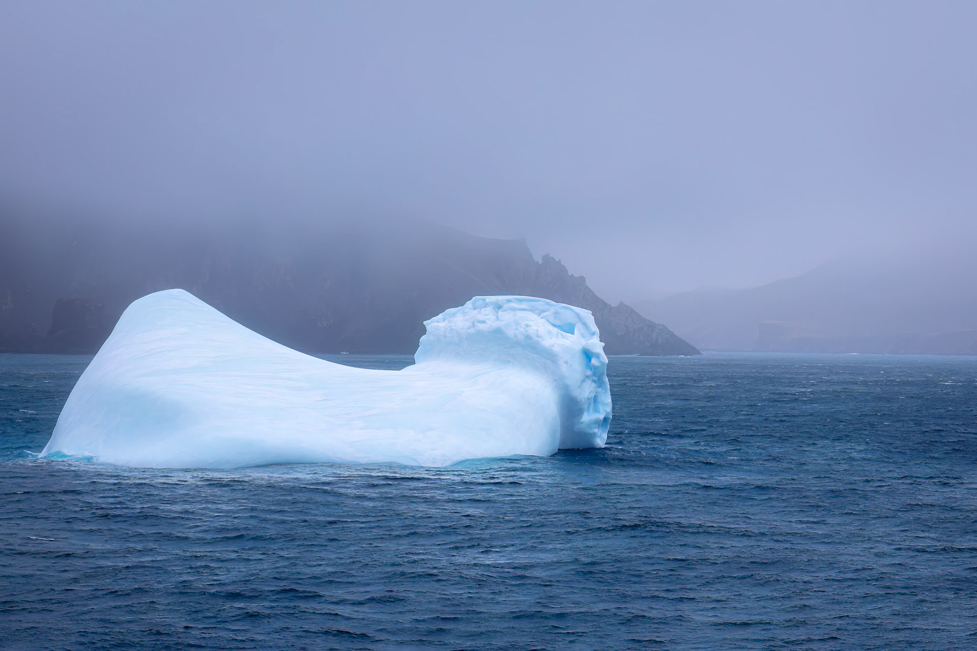 Rosita Bay, South Georgia