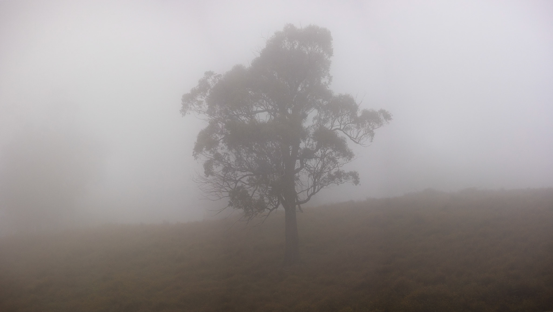 Turon Gates, New South Wales