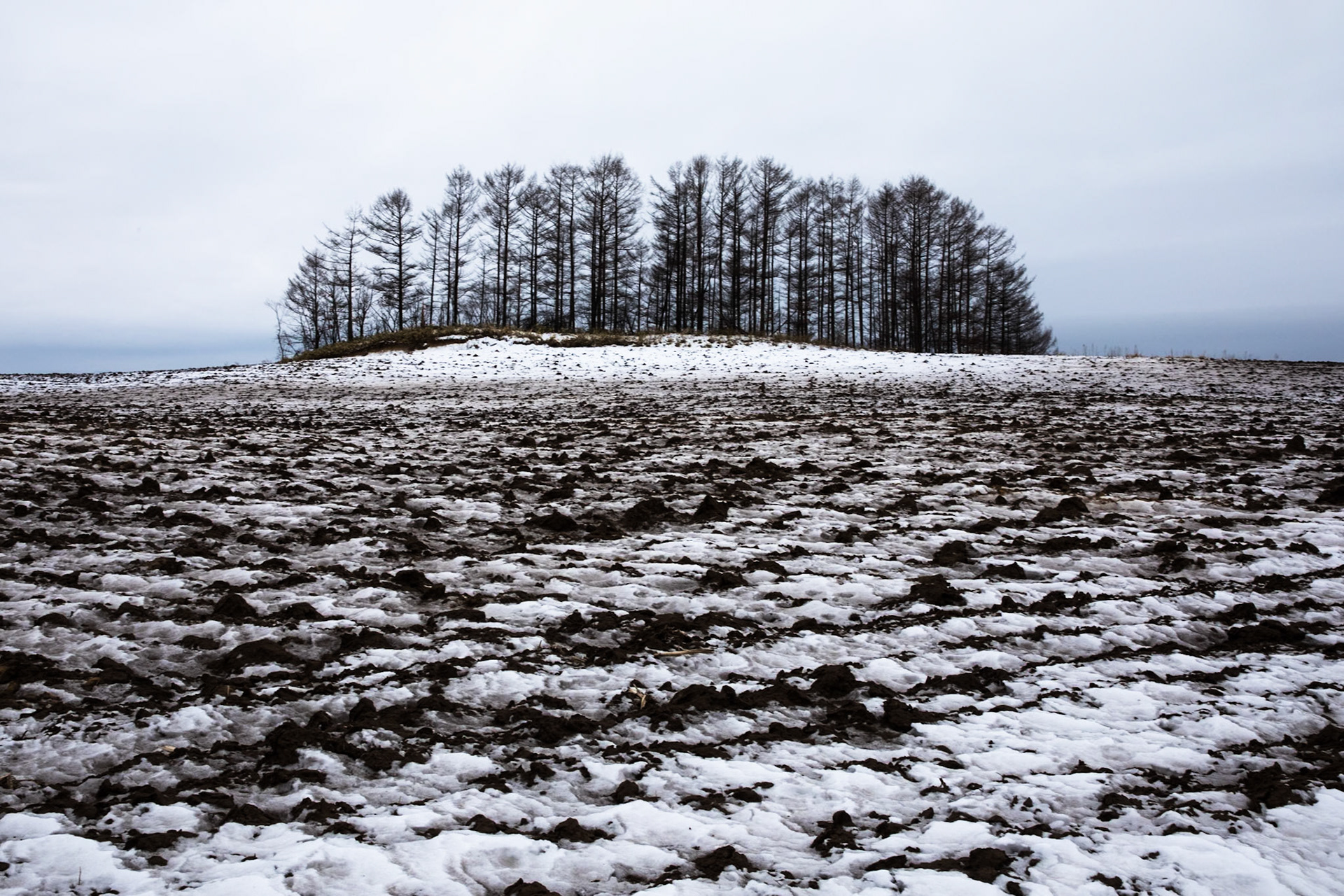 Near Setsuri river, Hokkaido, Japan