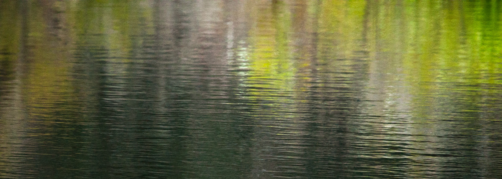 Reflections, Fraser Island, Queensland
