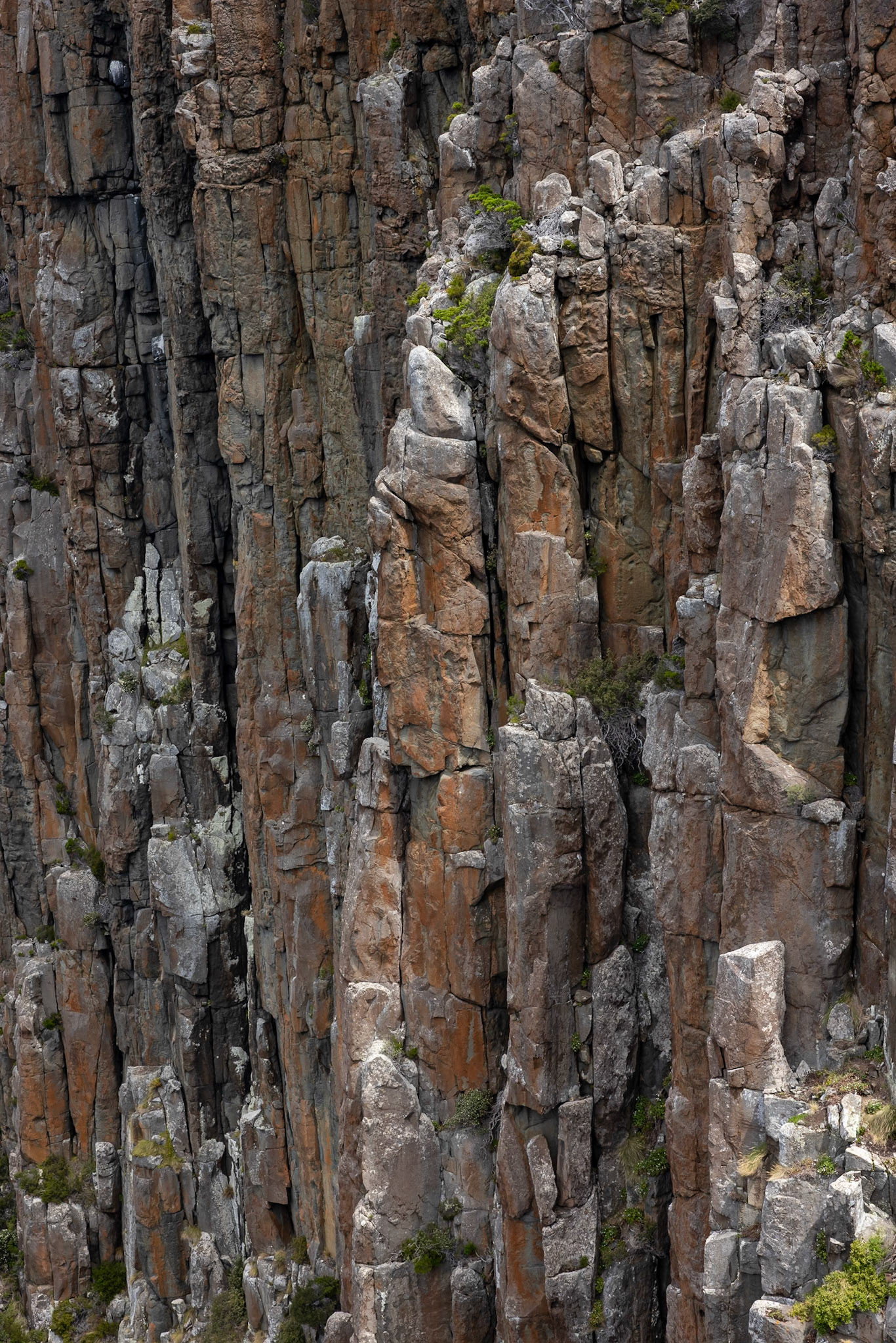 Three Capes Track, Cape Pillar Lodge to Cape Hauy and Fortescue Bay, Tasmania