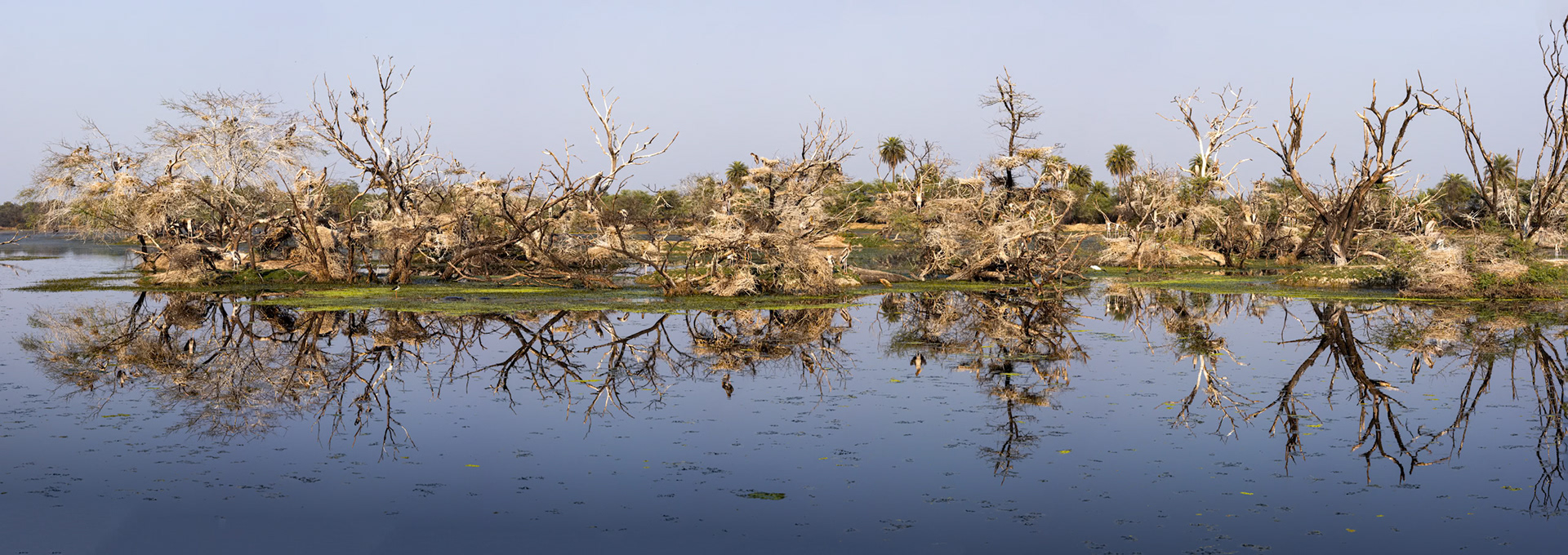 Landscape, Keoladeo National Park, Bharatpur, India