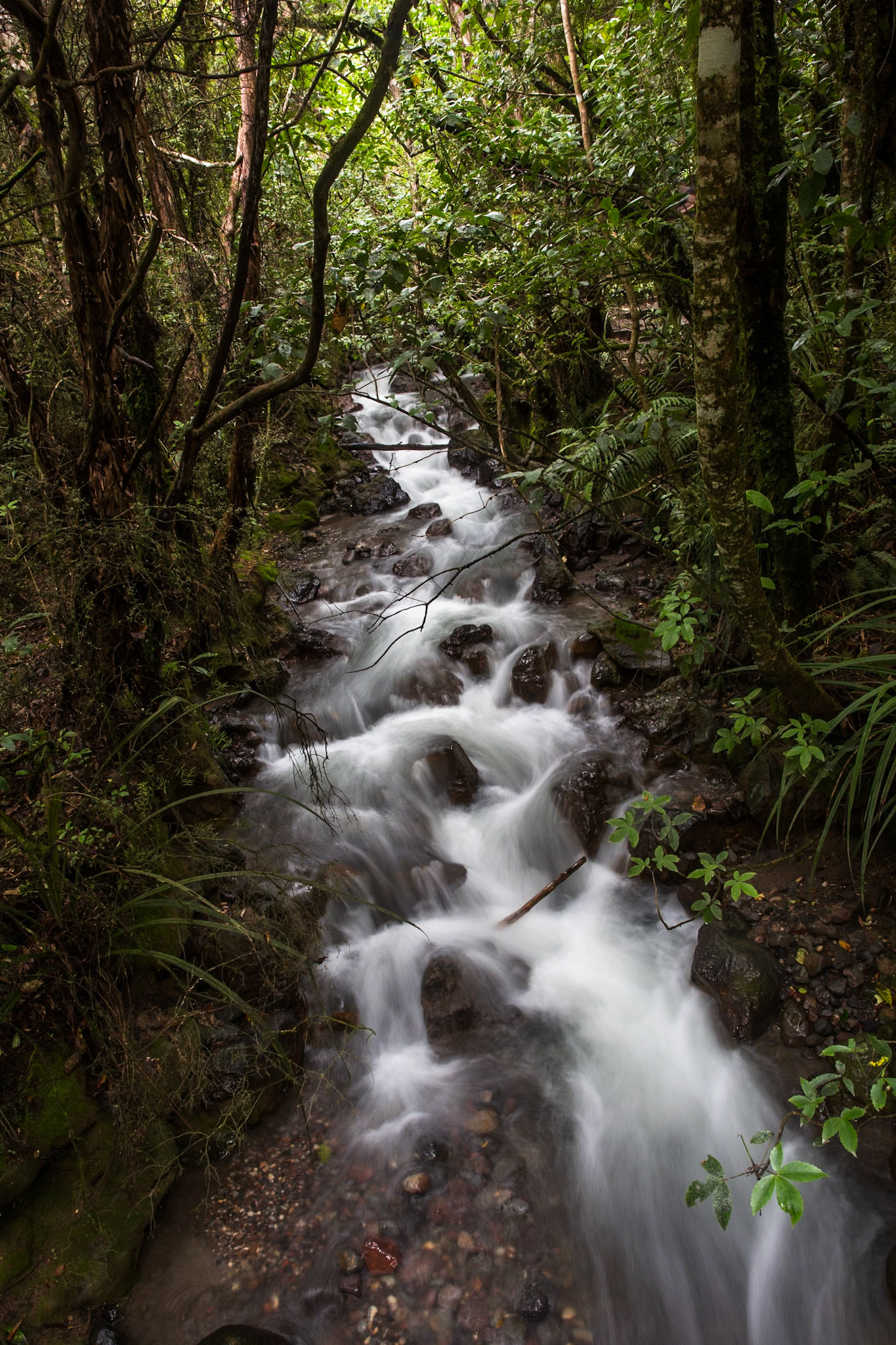Tongariro Alpine Crossing, New Zealand