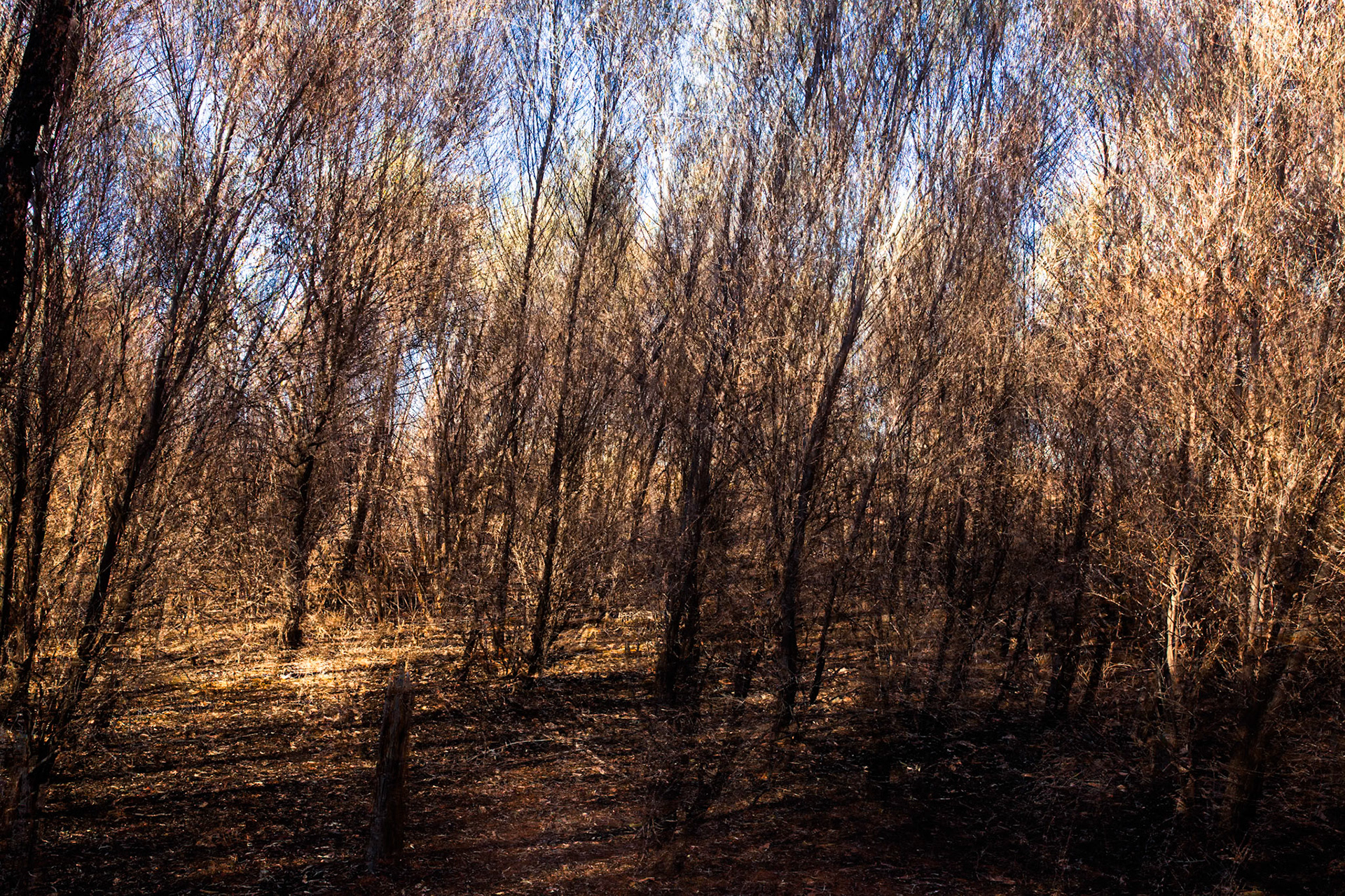 Serpentine George to Charlie's Camp, Larapinta Trail, Northern Territory, Australia
