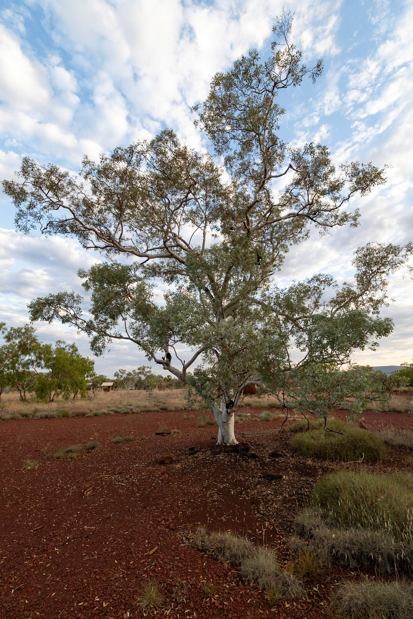 Karijini National Park, Western Australia